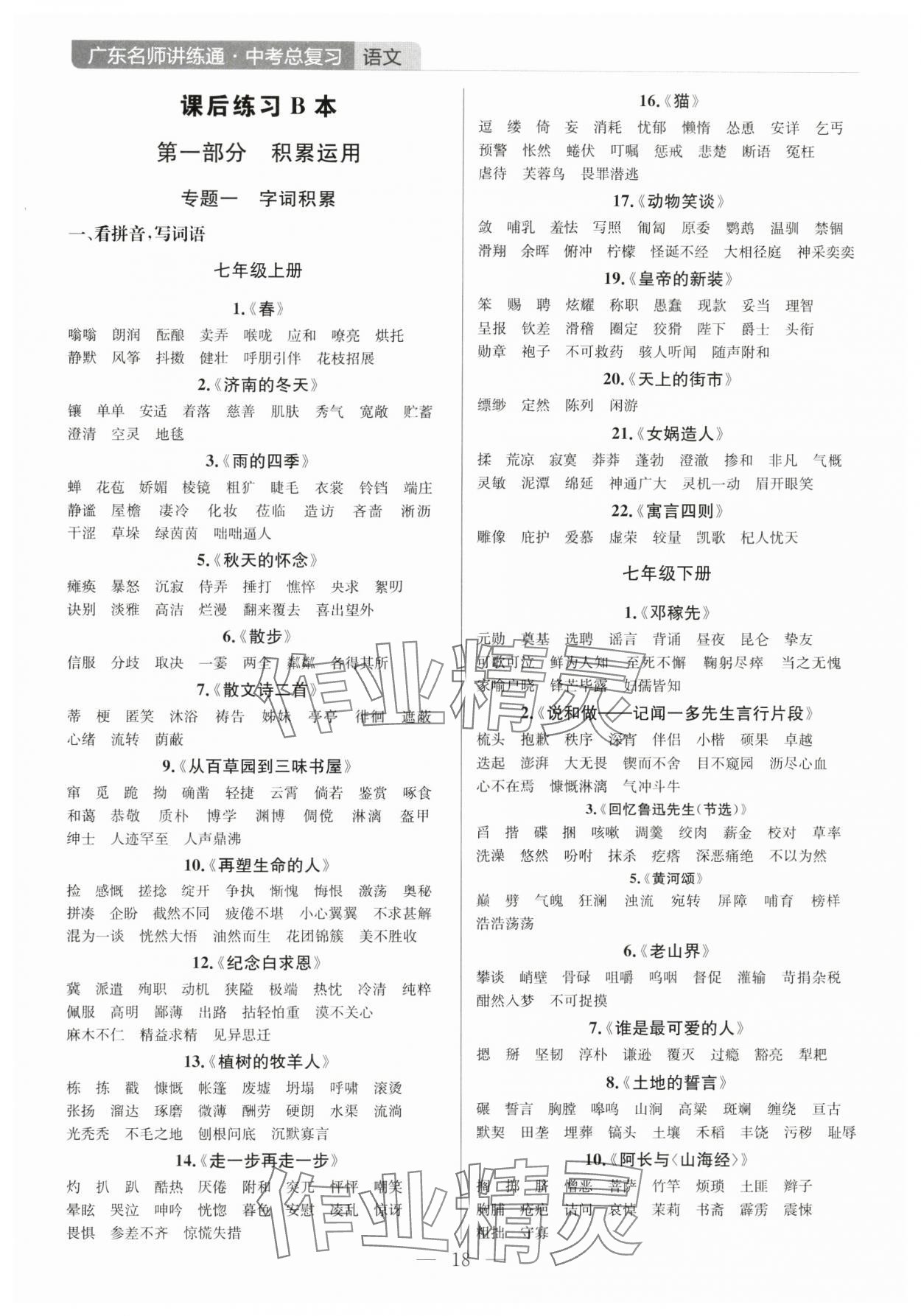 2025年廣東名師講練通中考總復習語文 第18頁