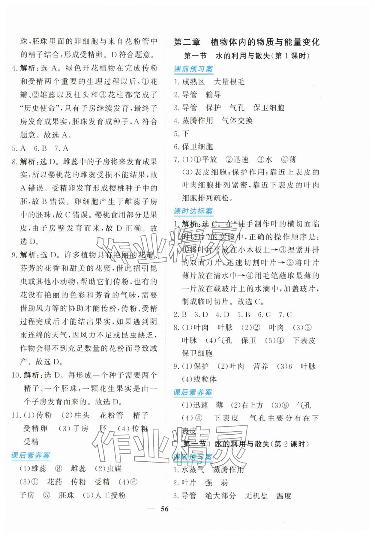 2025年新坐標同步練習七年級生物下冊人教版青海專版 第4頁