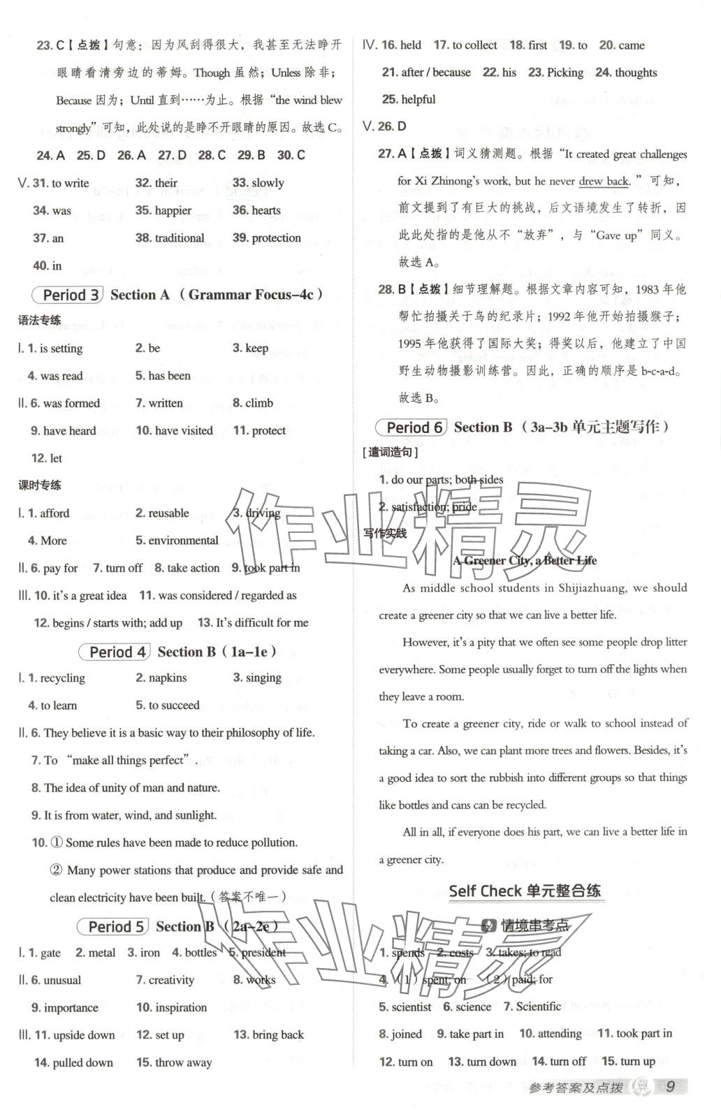 2025年点拨训练九年级英语下册人教版河北专版 第9页