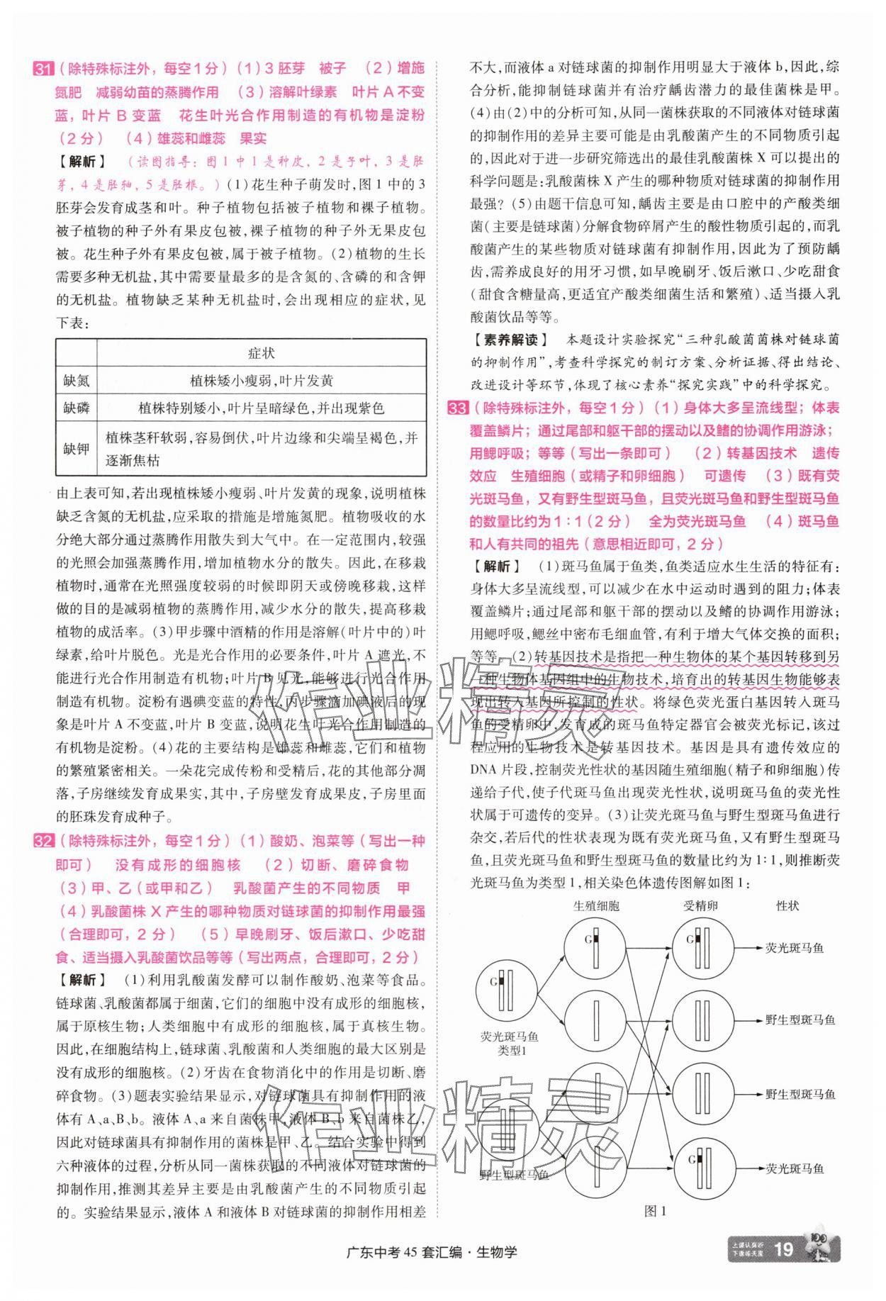 2025年金考卷45套匯編生物廣東專版 第19頁