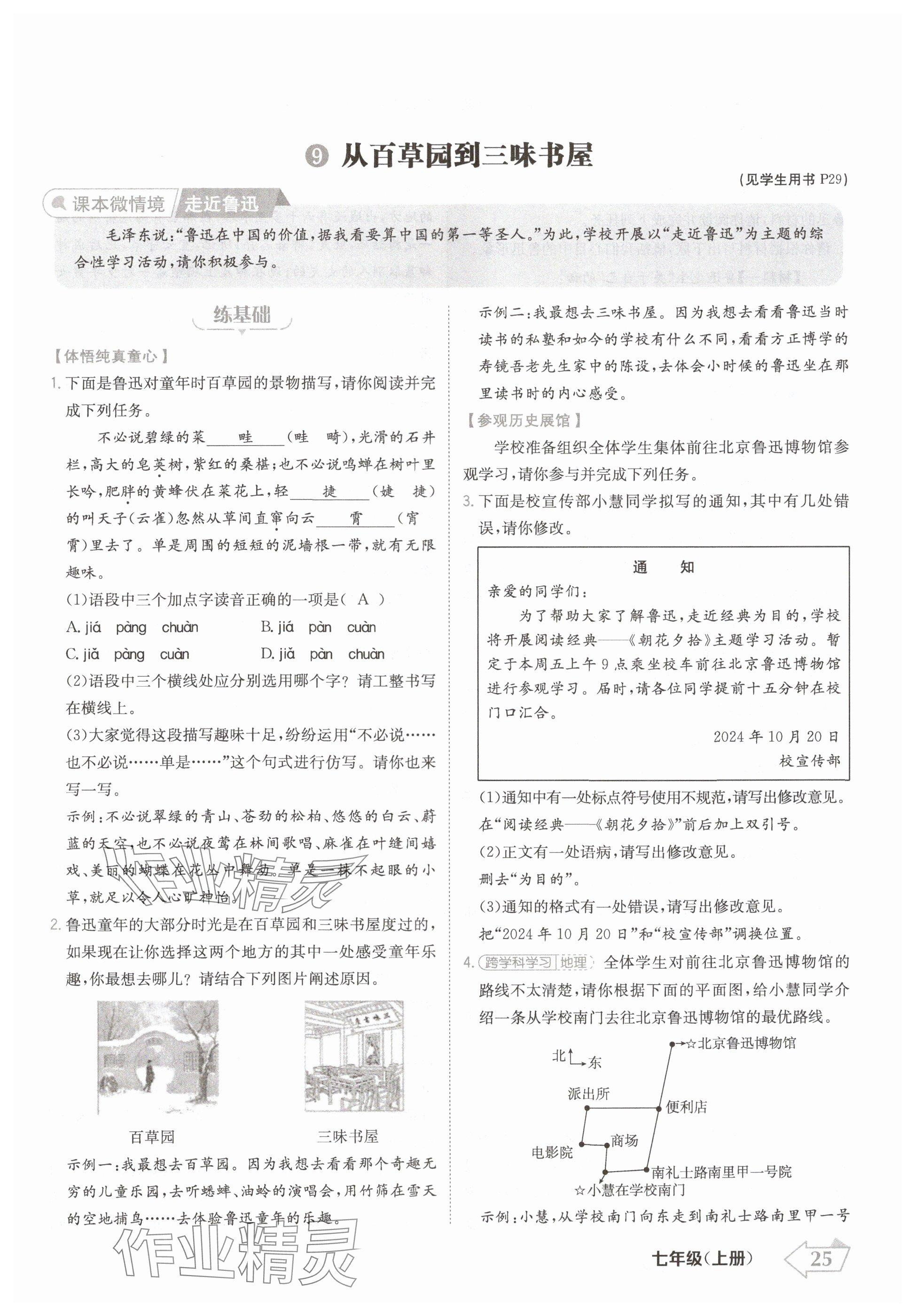 2024年金牌學(xué)練測(cè)七年級(jí)語文上冊(cè)人教版 參考答案第25頁