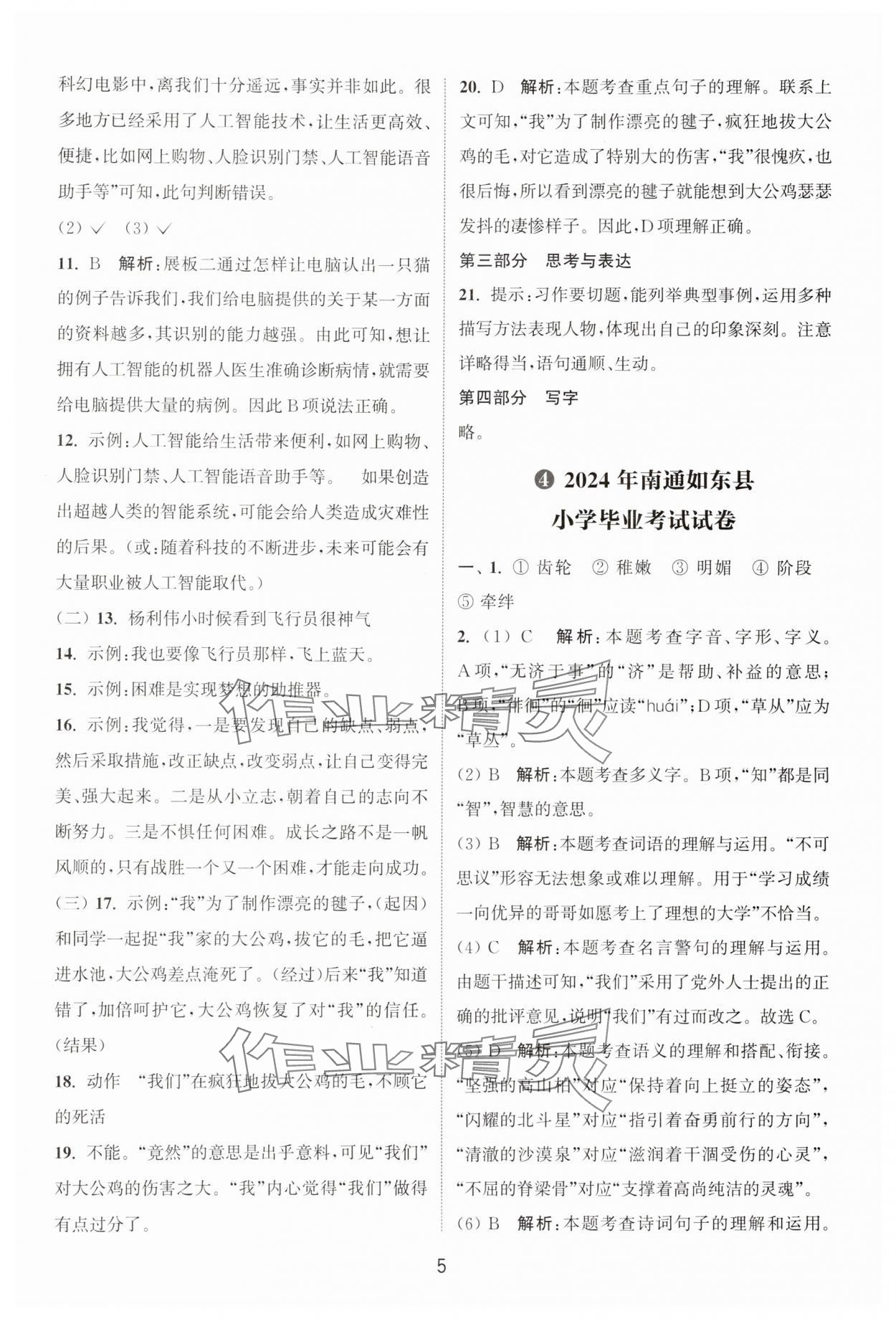2025年通城學典小升初真題匯編語文 第5頁