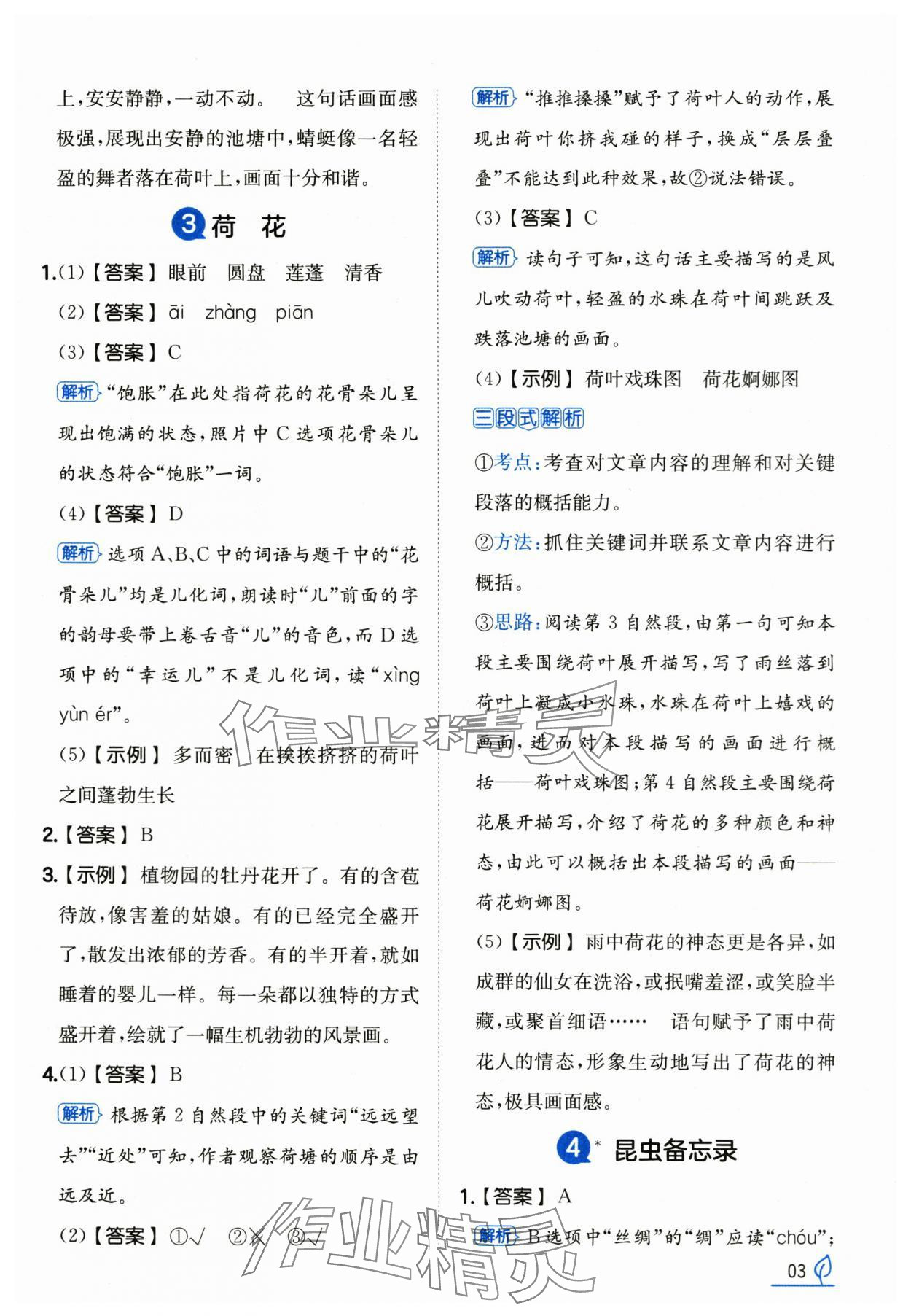 2025年一本同步訓(xùn)練三年級語文下冊人教版浙江專版 第3頁
