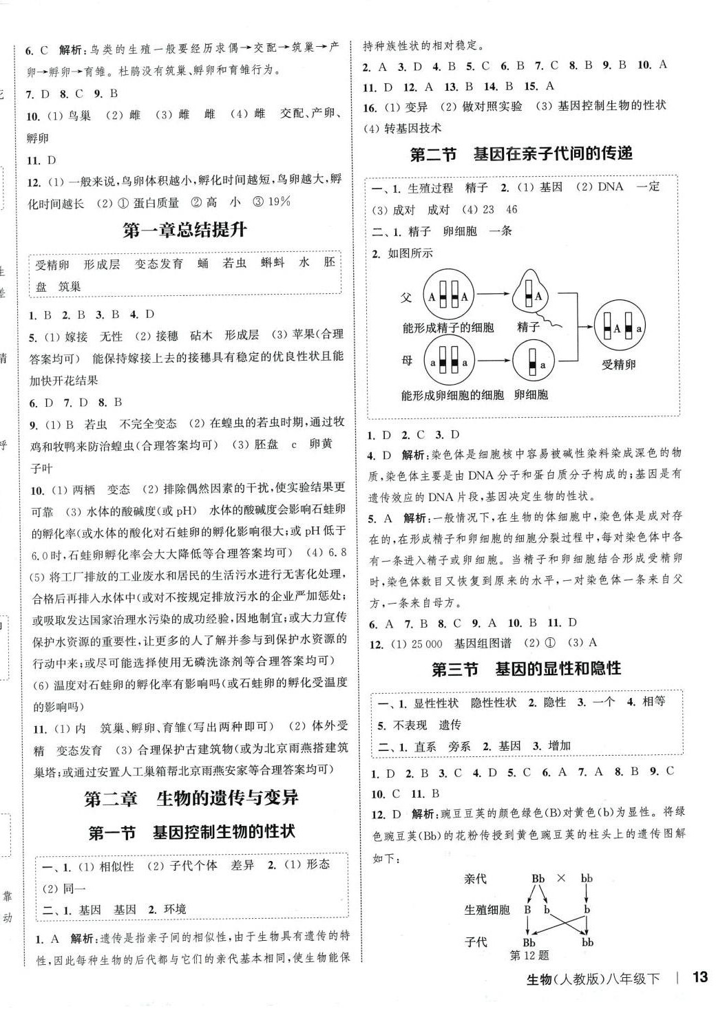 2024年通城學(xué)典課時(shí)作業(yè)本八年級(jí)生物下冊(cè)人教版 參考答案第2頁