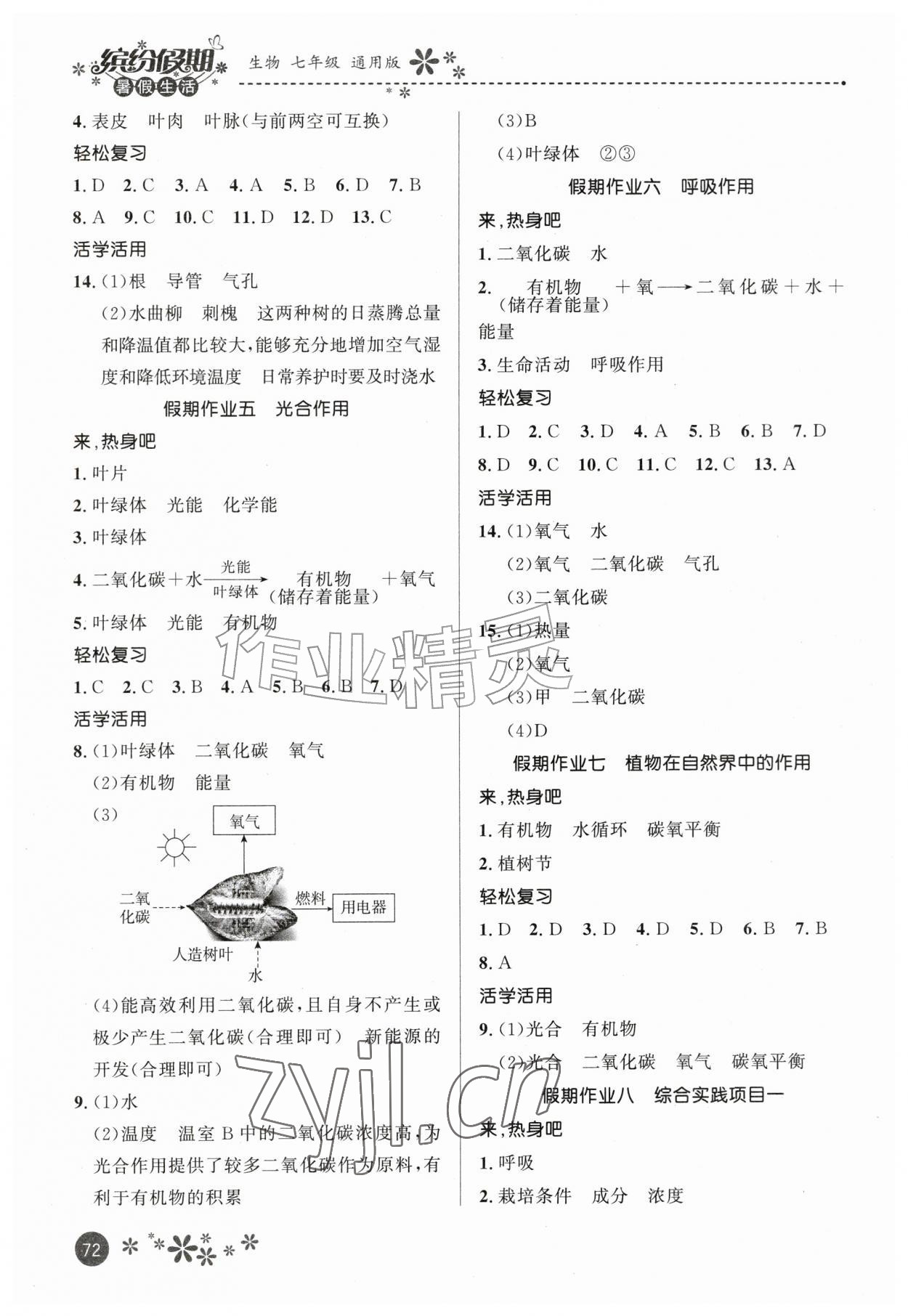 2026年缤纷假期河北教育出版社七年级生物&nbsp;第2页