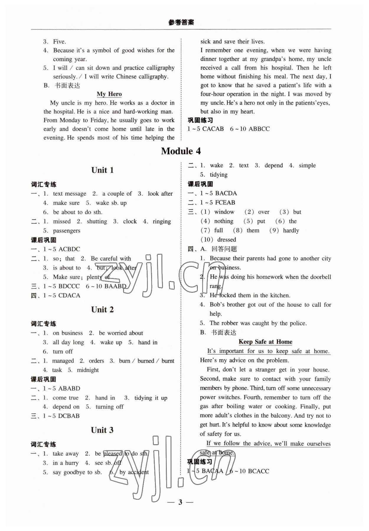 2023年南粵學(xué)典學(xué)考精練九年級英語全一冊外研版 第3頁