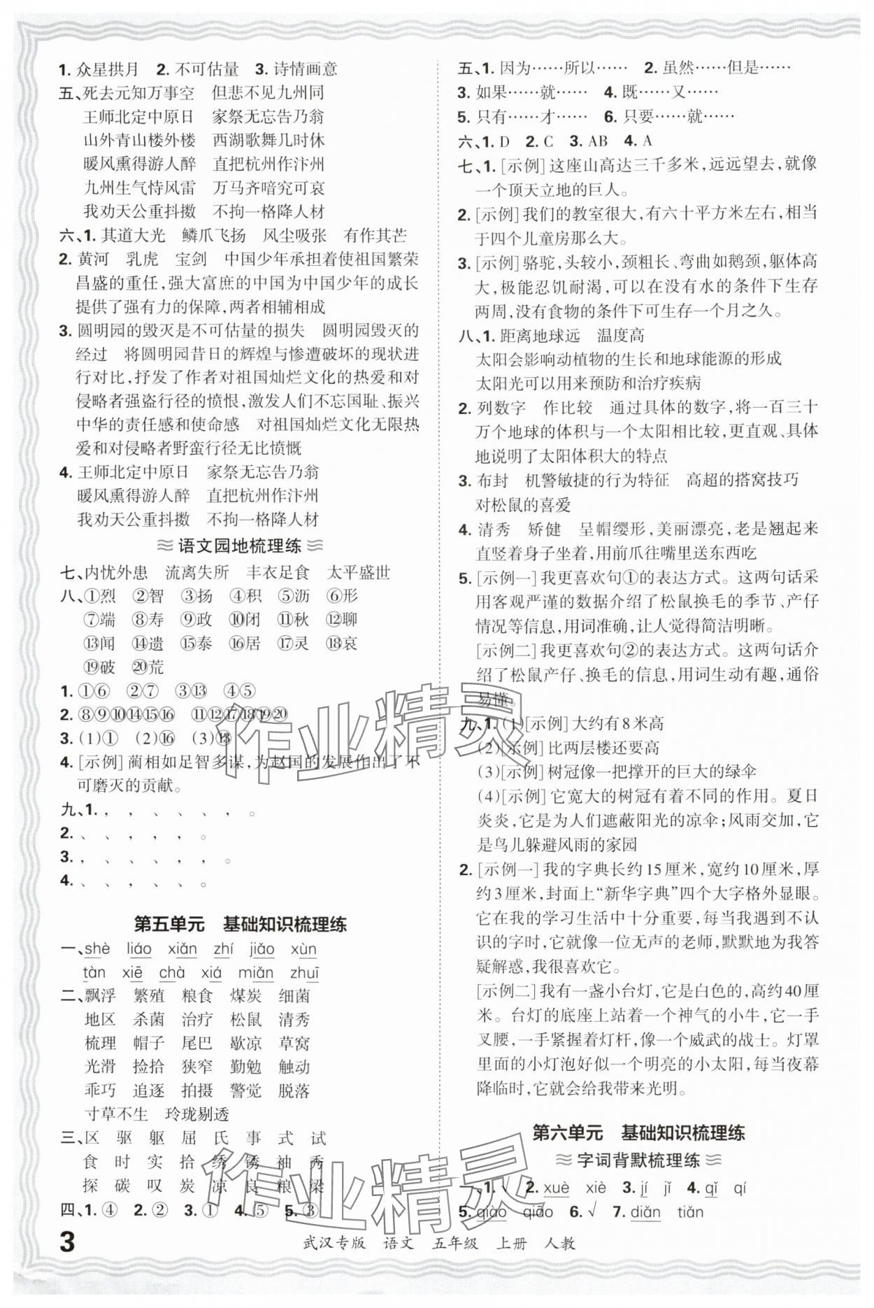 2024年王朝霞期末真題精編五年級(jí)語(yǔ)文上冊(cè)人教版武漢專(zhuān)版 參考答案第3頁(yè)