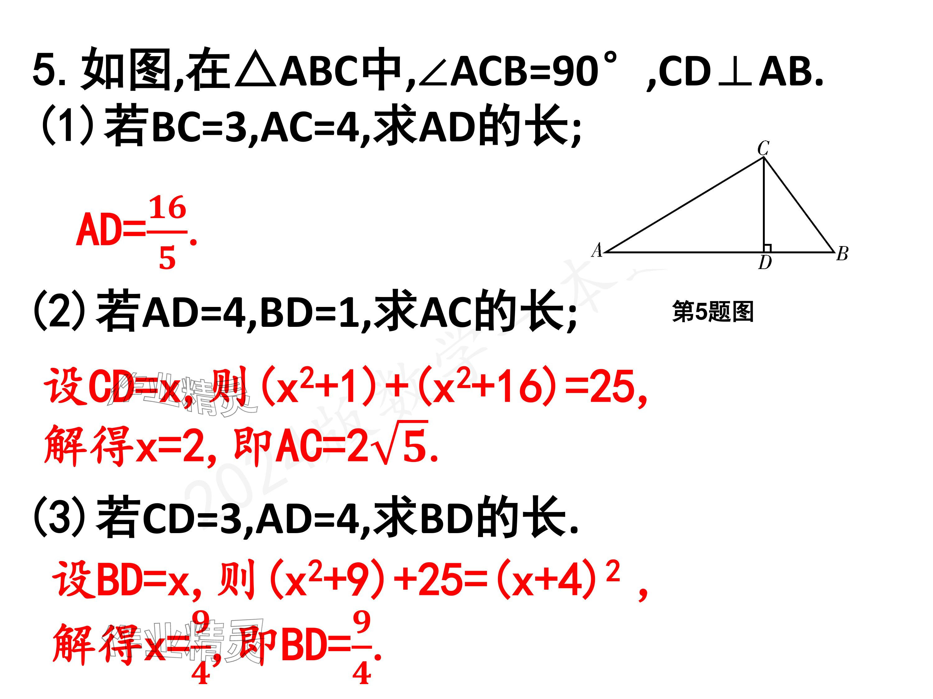 2024年一本通武漢出版社八年級數(shù)學(xué)上冊北師大版核心板 參考答案第37頁