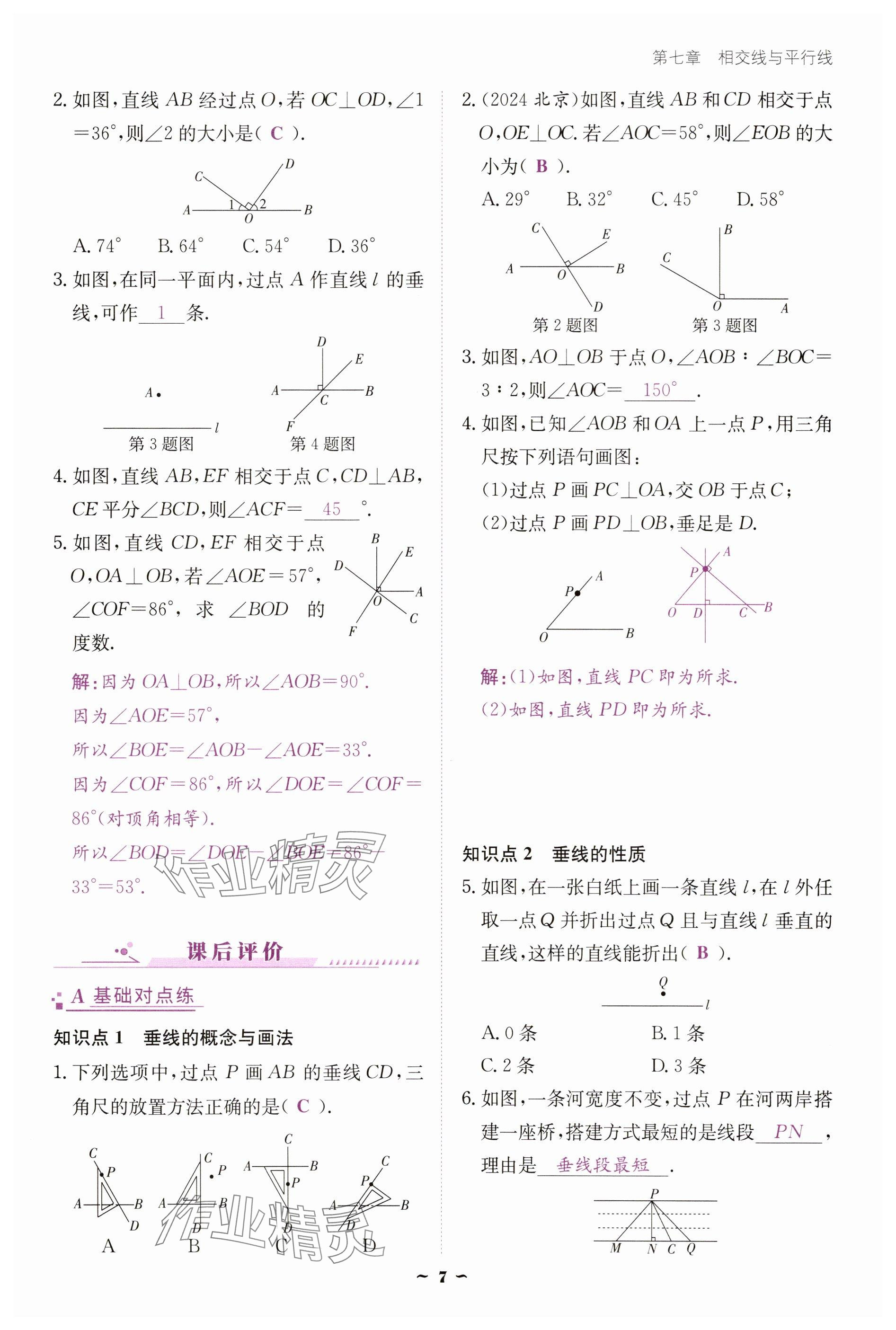 2025年云南省標(biāo)準(zhǔn)教輔優(yōu)佳學(xué)案七年級(jí)數(shù)學(xué)下冊(cè)人教版 參考答案第7頁(yè)
