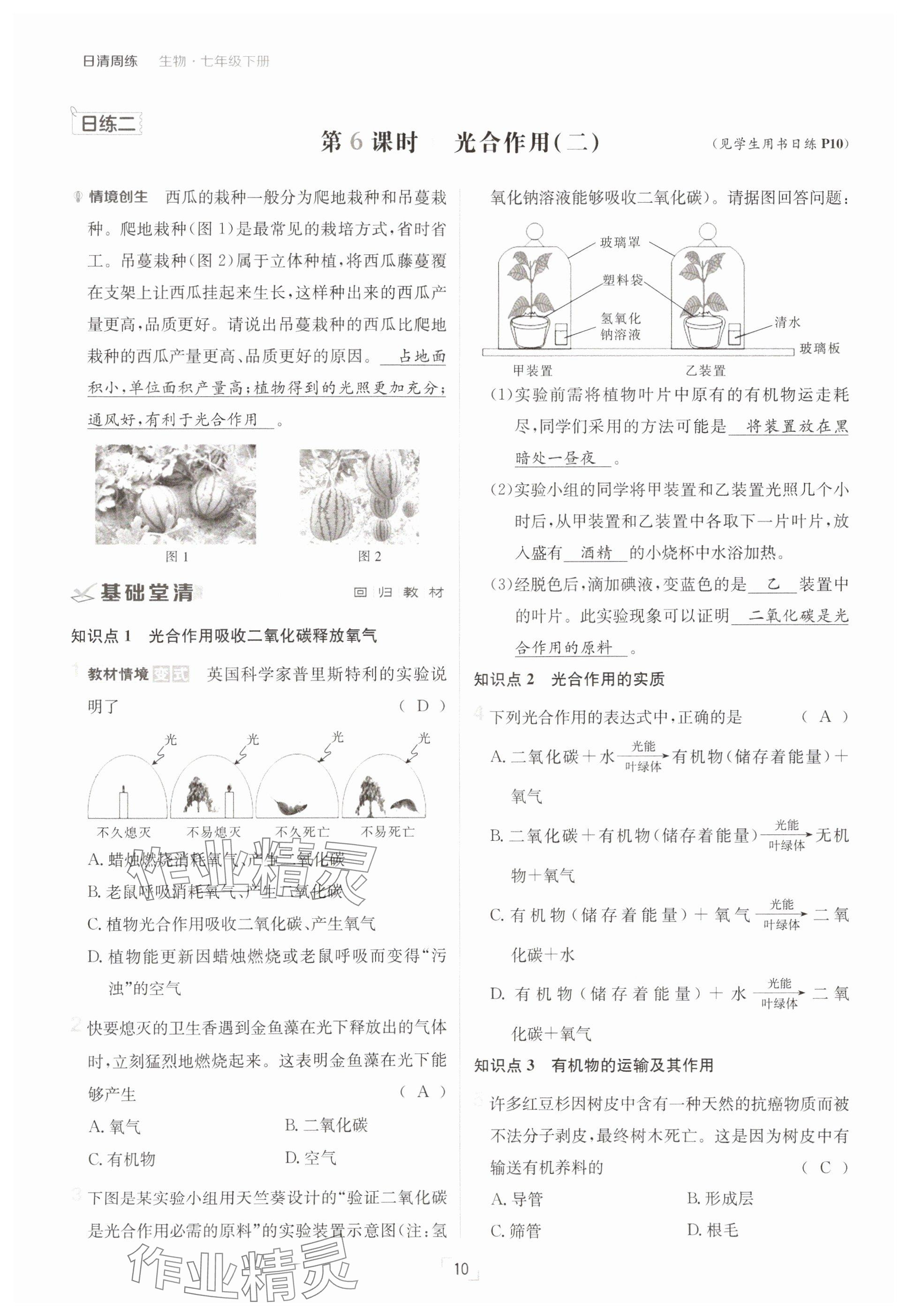 2025年日清周練七年級(jí)生物下冊(cè)人教版 參考答案第10頁(yè)