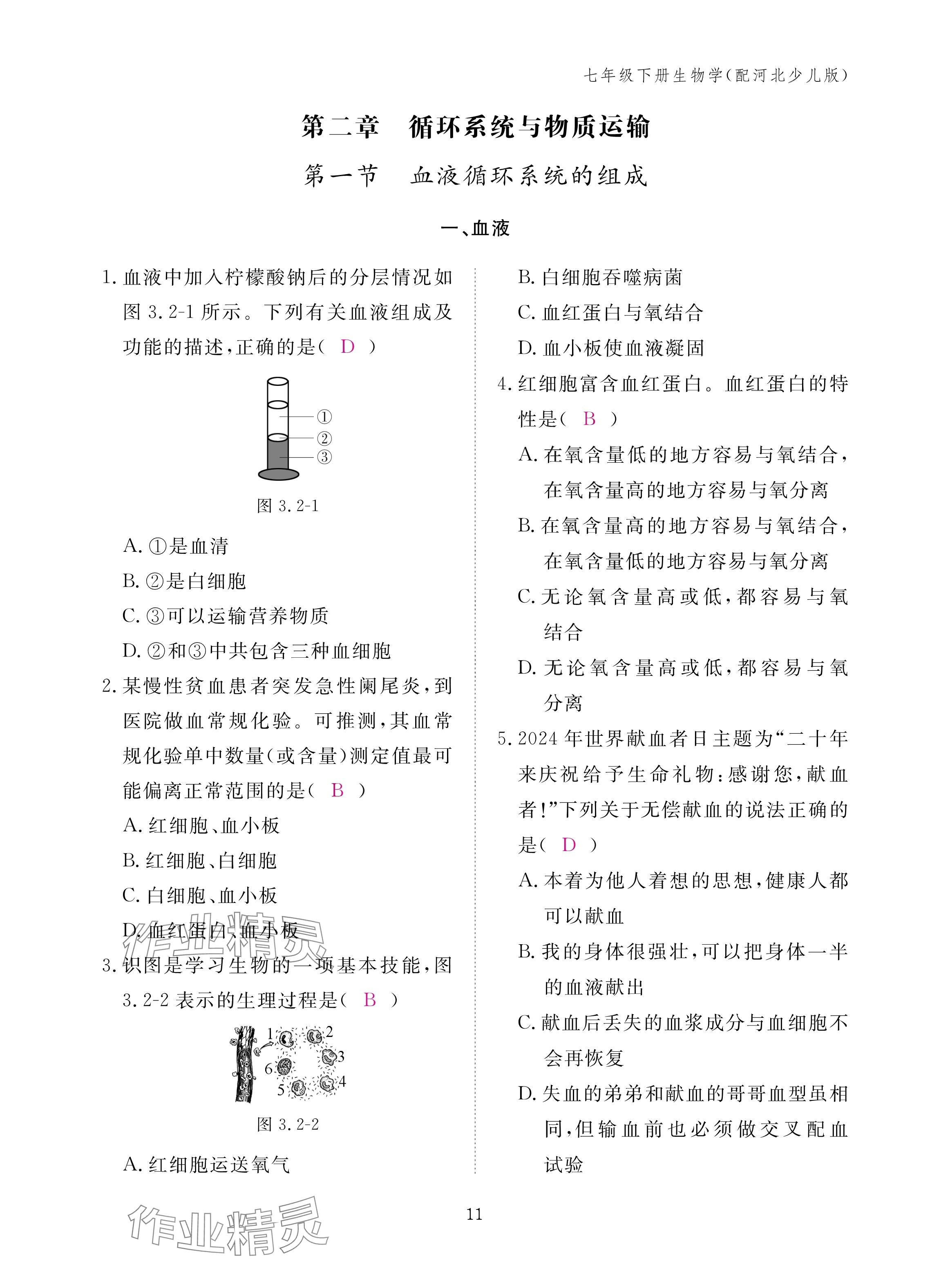 2025年作業(yè)本江西教育出版社七年級生物下冊冀少版 參考答案第11頁