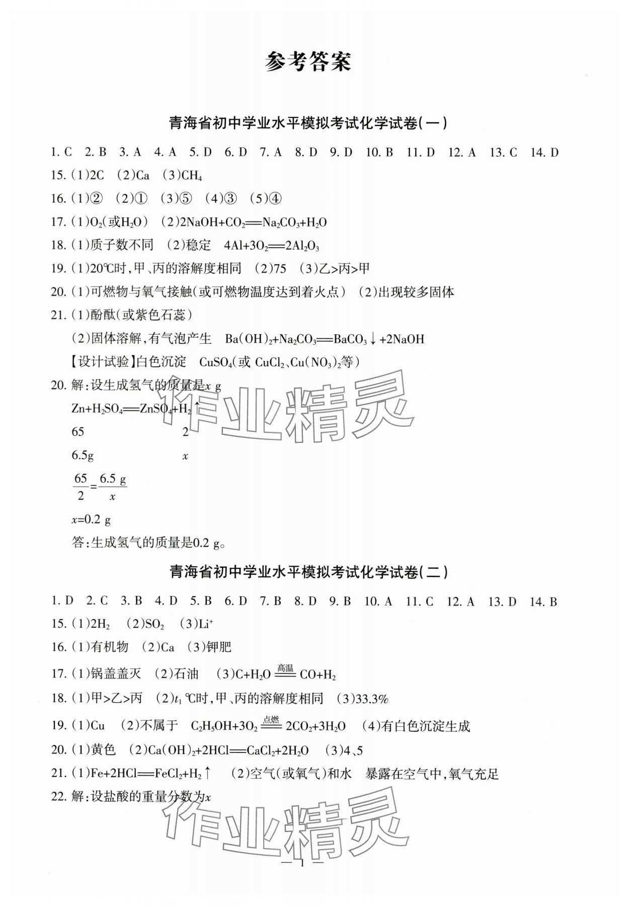 2024年青海省初中學業水平考試模擬試卷化學 第1頁