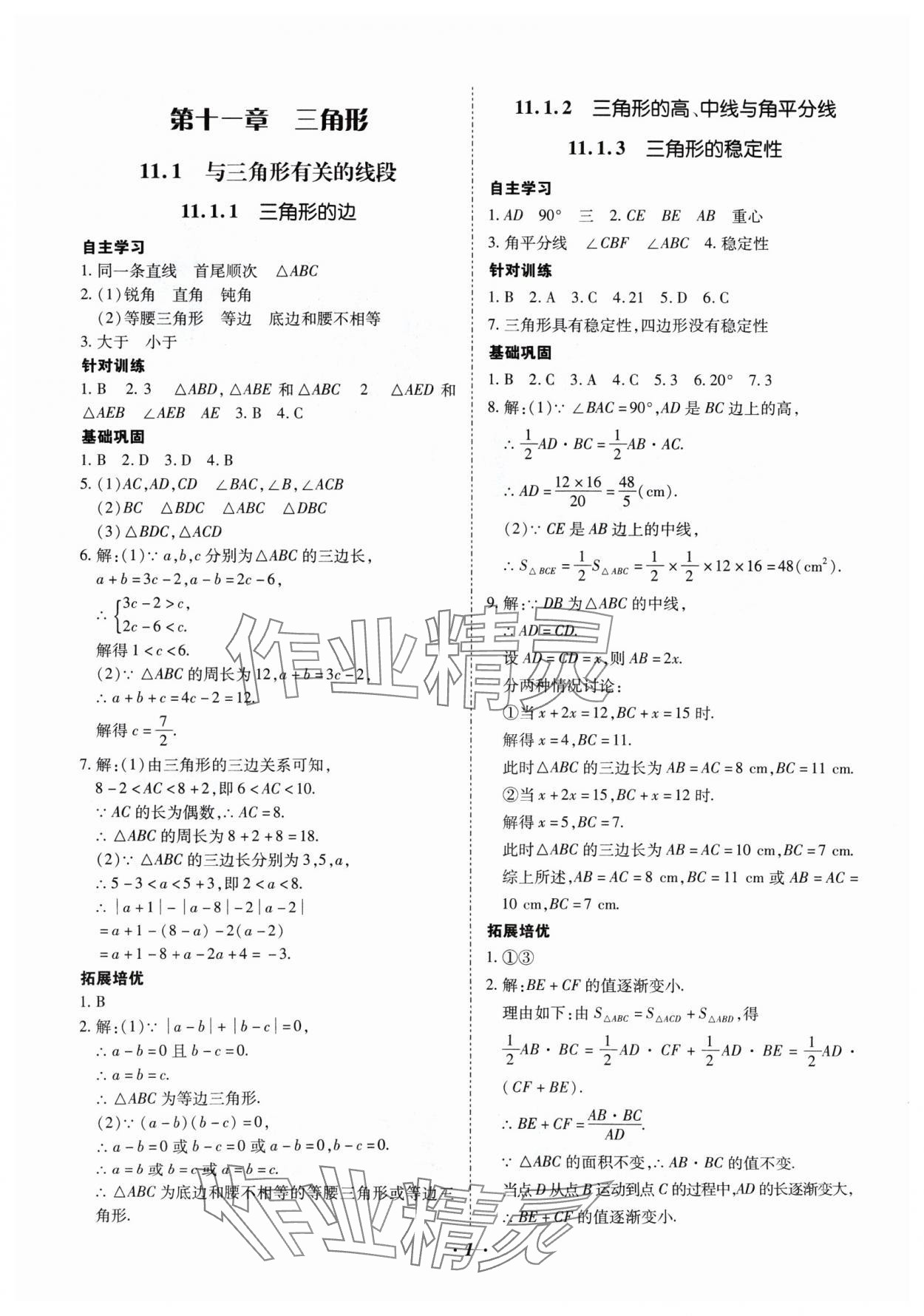 2024年本土攻略八年级数学上册人教版 参考答案第1页