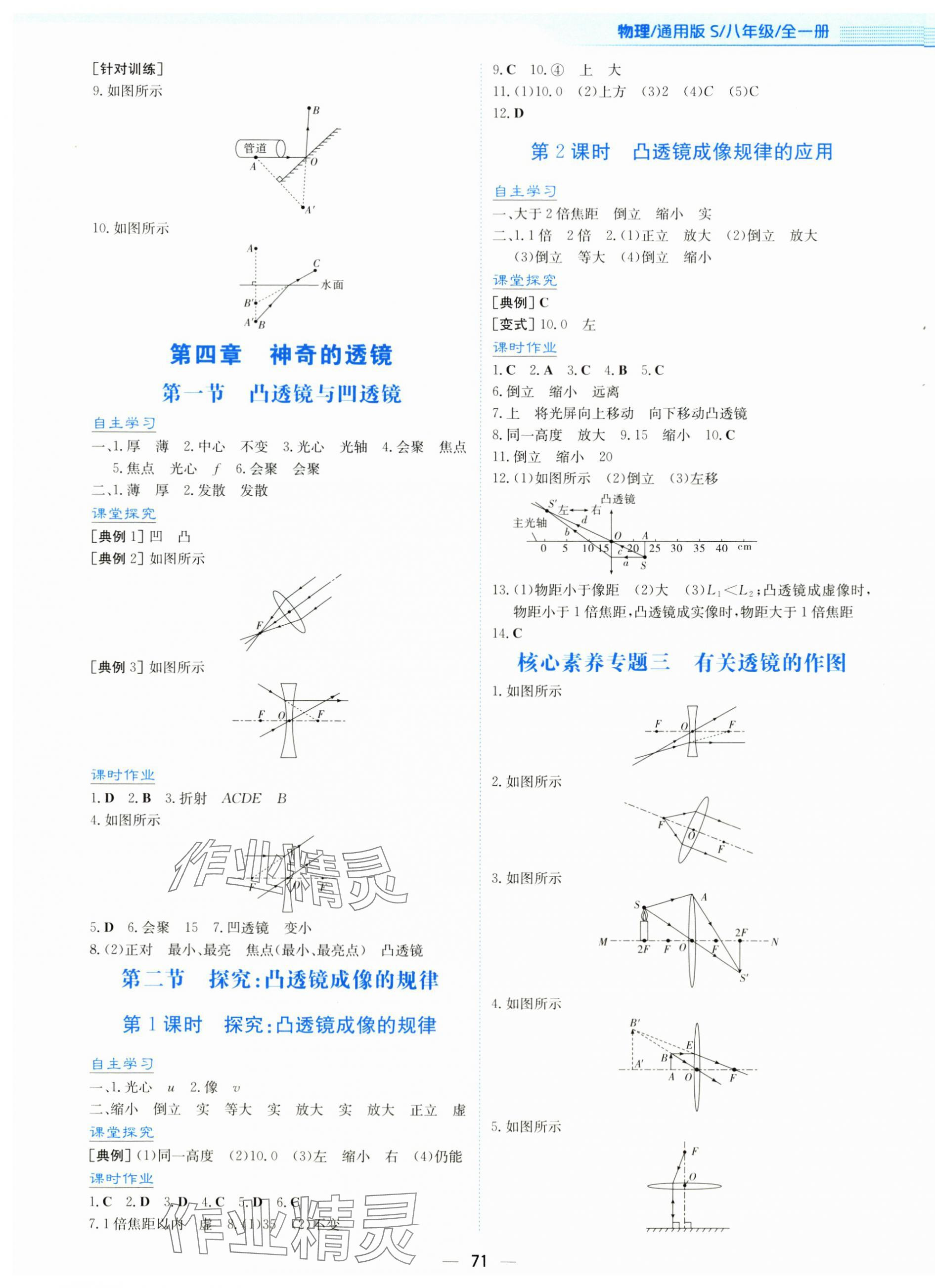 2025年新编基础训练八年级物理全一册通用版S 第7页