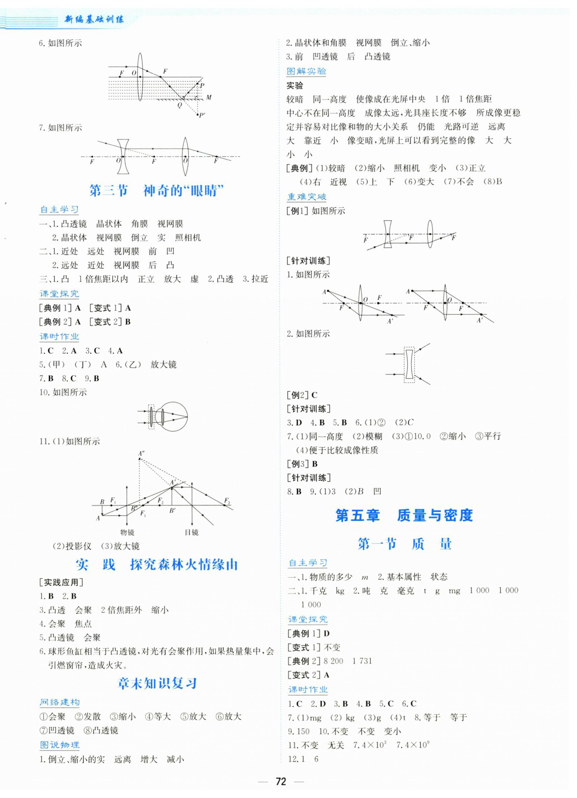 2025年新编基础训练八年级物理全一册通用版S 第8页
