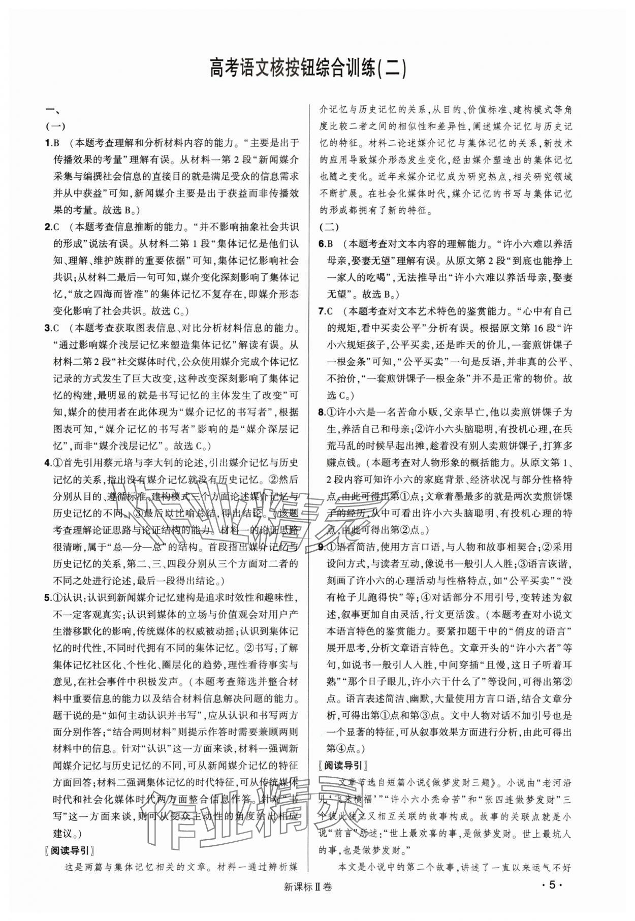 2025年高考語文核按鈕綜合訓(xùn)練Ⅱ卷 第5頁