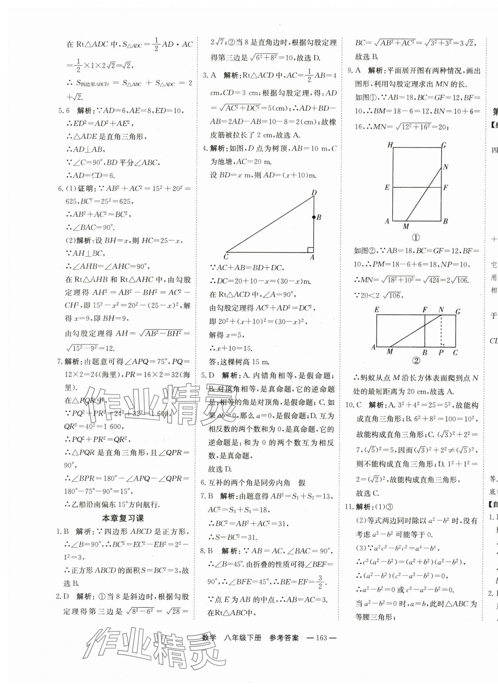 2024年自能導(dǎo)學(xué)八年級數(shù)學(xué)下冊人教版 第9頁