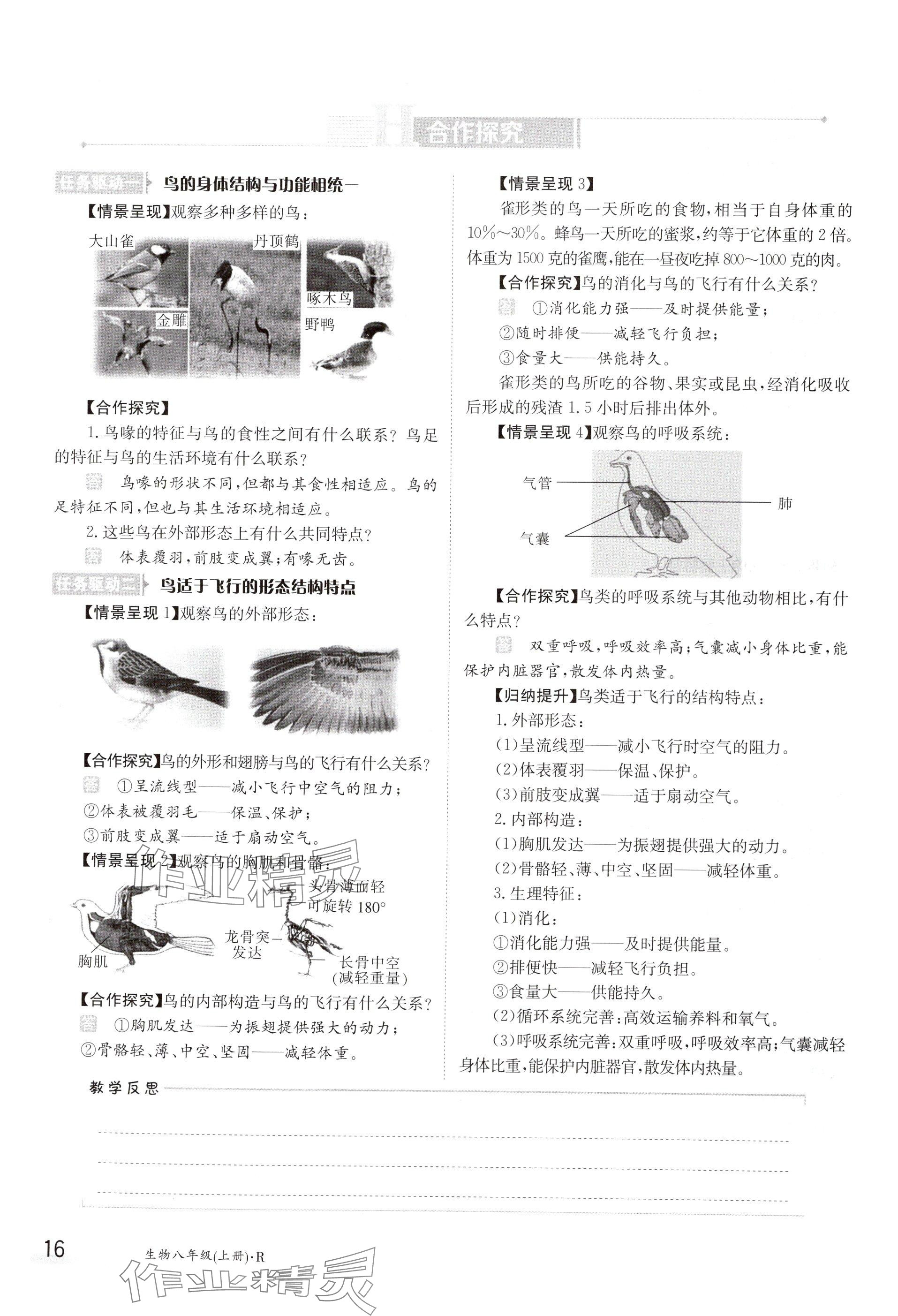 2024年金太阳导学案八年级生物上册人教版 参考答案第16页