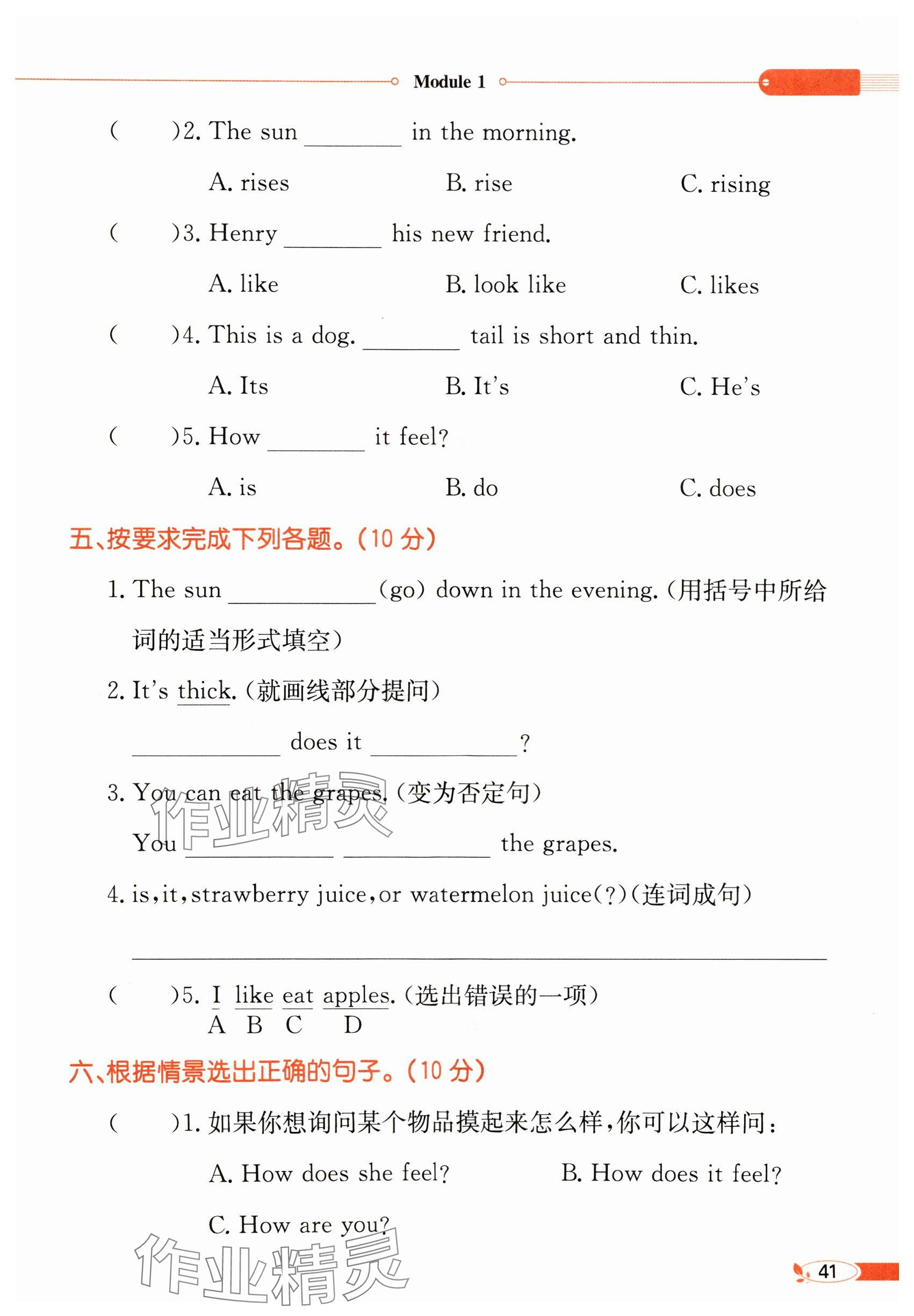 2024年教材課本四年級(jí)英語(yǔ)下冊(cè)滬教版 參考答案第41頁(yè)