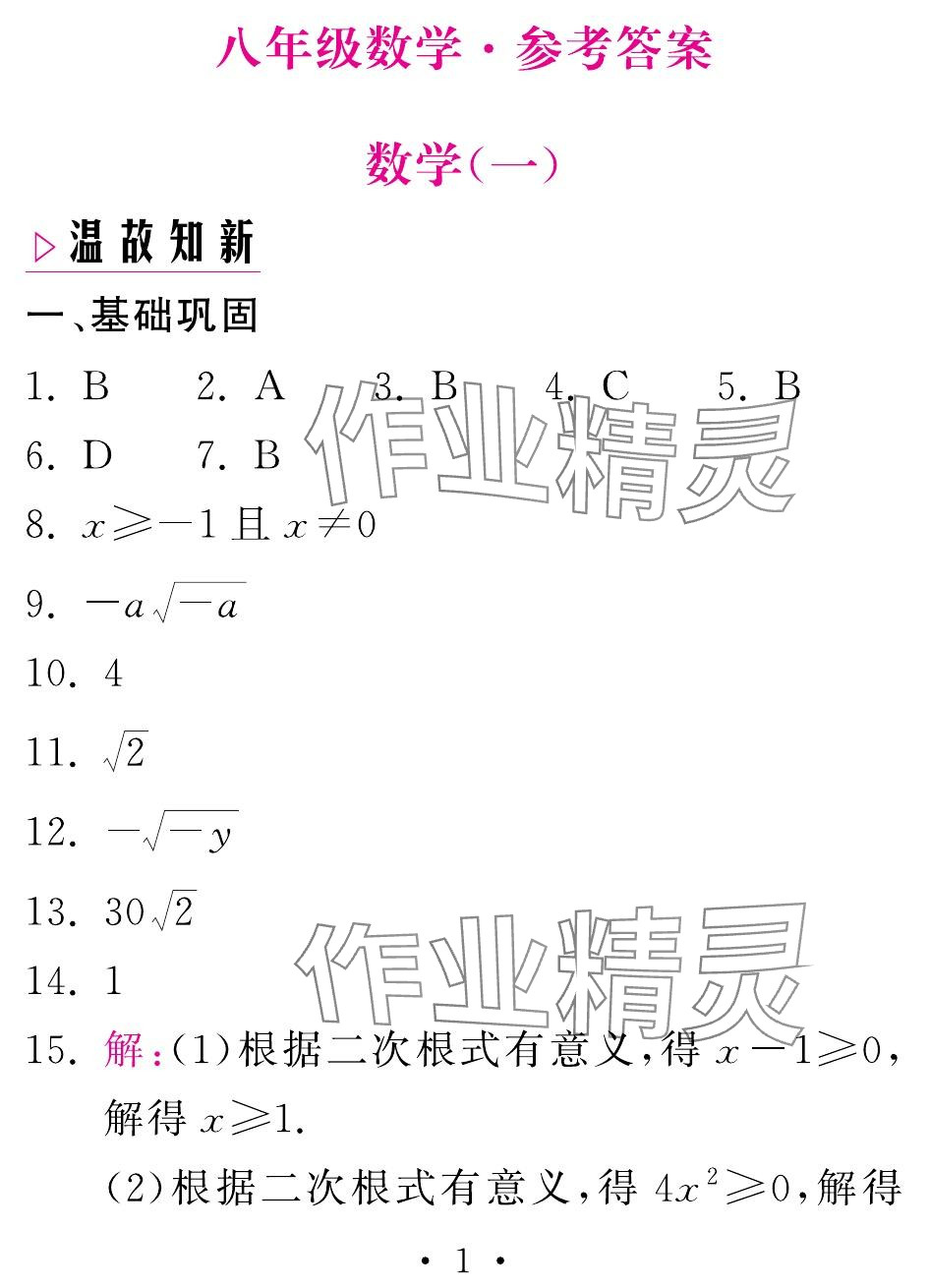 2024年天舟文化精彩暑假團(tuán)結(jié)出版社八年級數(shù)學(xué)人教版 參考答案第1頁