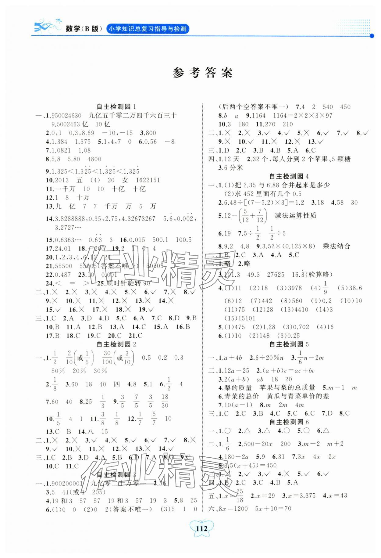 2024年大顯身手小學知識總復(fù)習指導(dǎo)與檢測數(shù)學人教版 參考答案第1頁