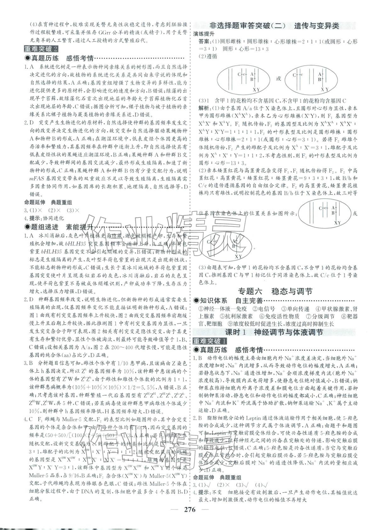 2026年优化探究高考专题复习生物&nbsp;参考答案第18页