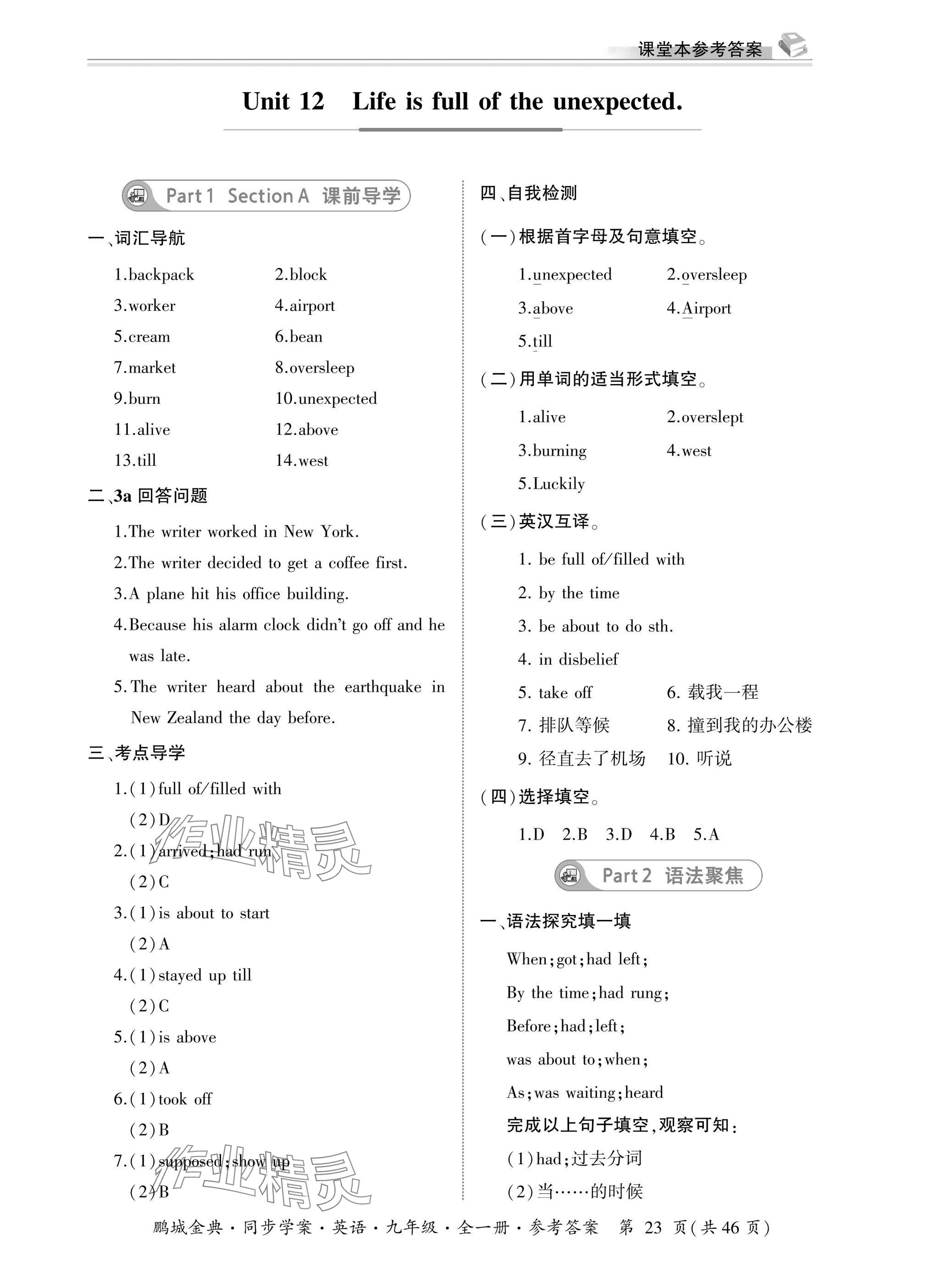 2025年名师帮同步学案九年级英语全一册人教版&nbsp;参考答案第23页
