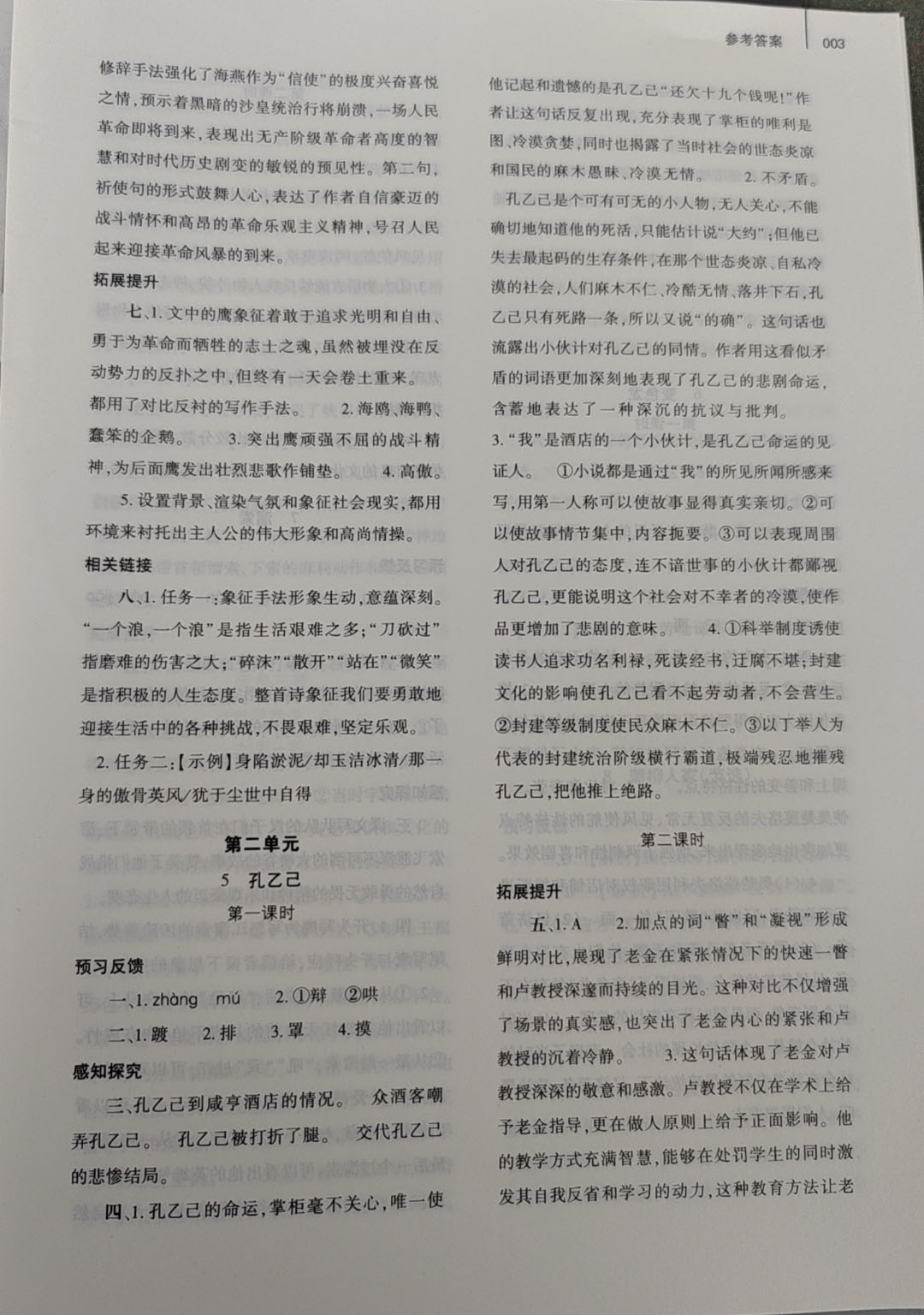 2025年基礎(chǔ)訓(xùn)練大象出版社九年級語文下冊人教版 參考答案第3頁