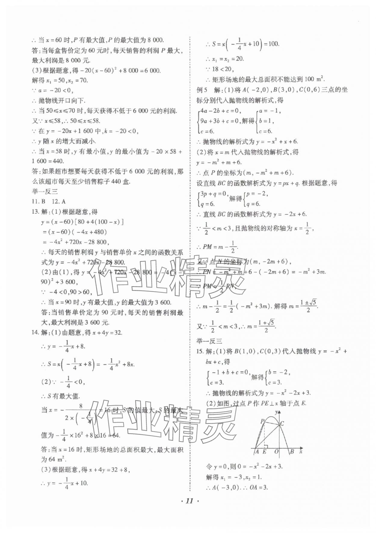 2025年本土攻略精準(zhǔn)復(fù)習(xí)方案數(shù)學(xué)中考云南專版 參考答案第11頁