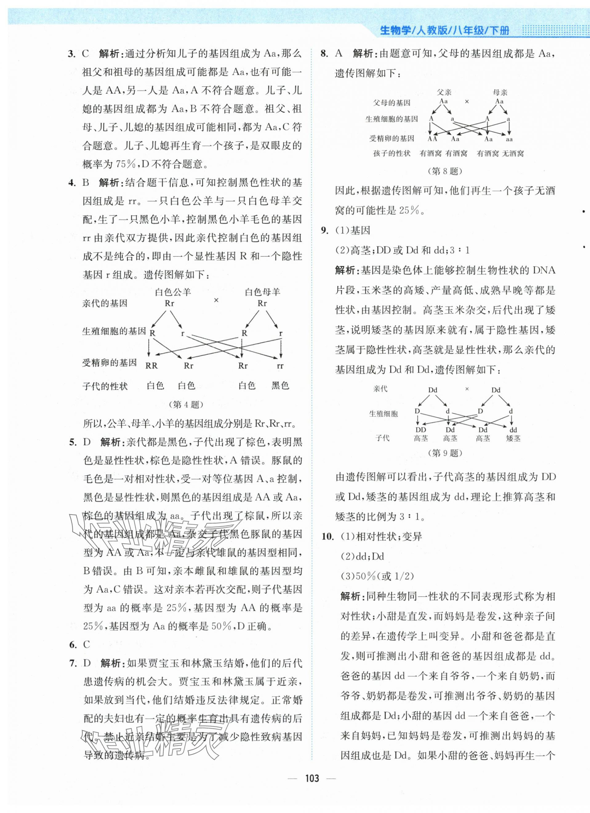 2024年新編基礎(chǔ)訓(xùn)練八年級(jí)生物下冊(cè)人教版 第7頁