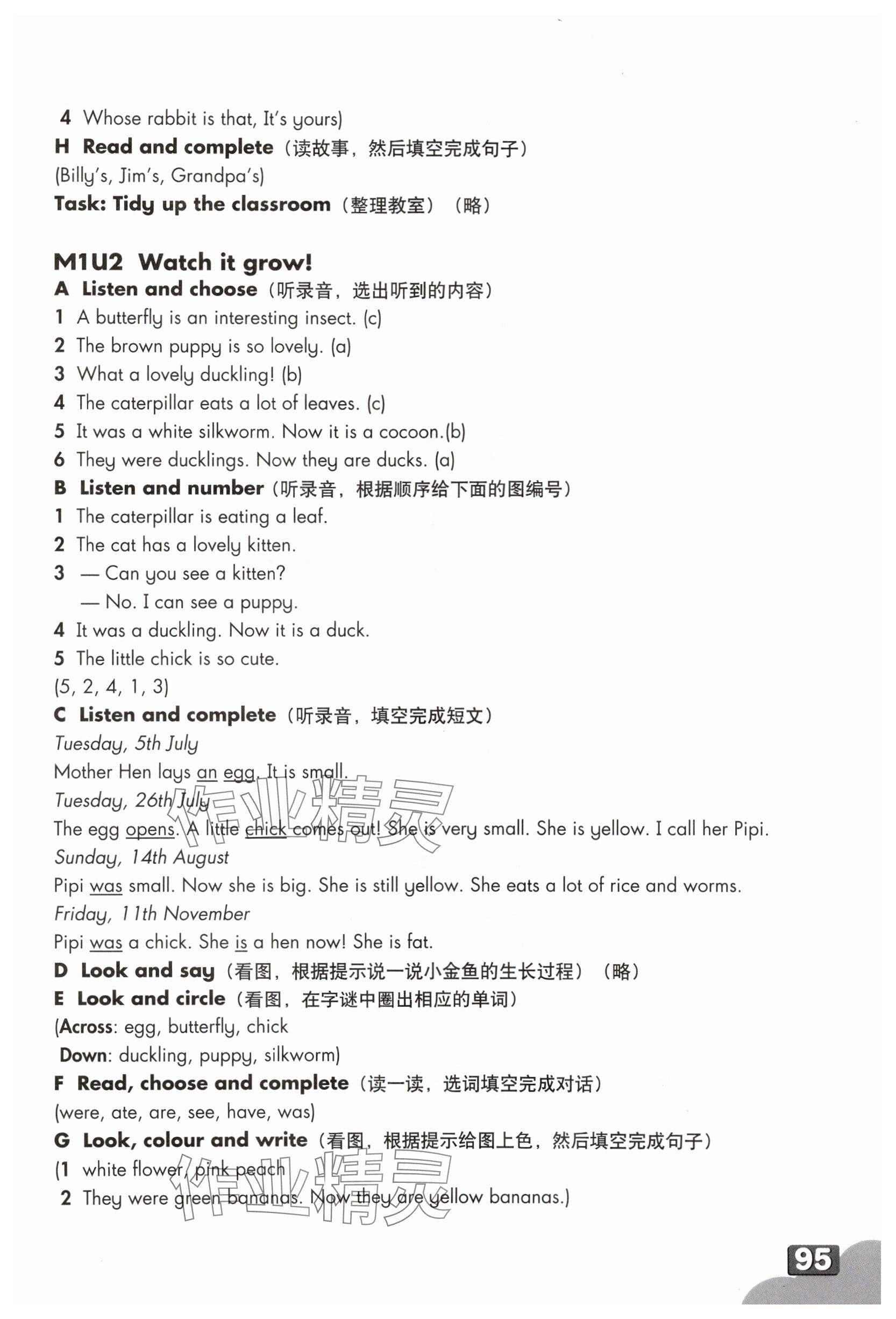 2025年練習(xí)部分五年級(jí)英語(yǔ)下冊(cè)滬教版54制 參考答案第2頁(yè)