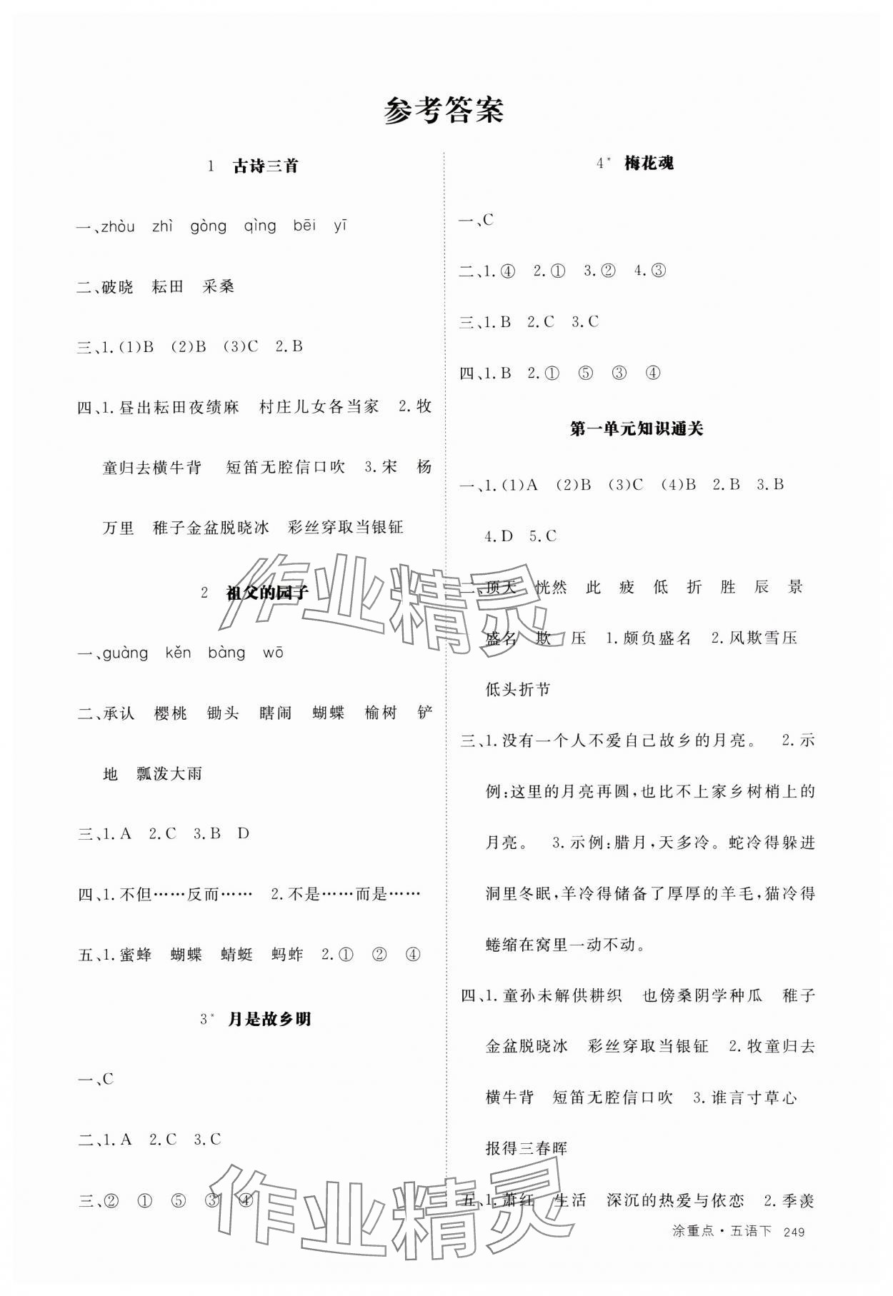 2025年涂重点五年级语文下册人教版 参考答案第2页