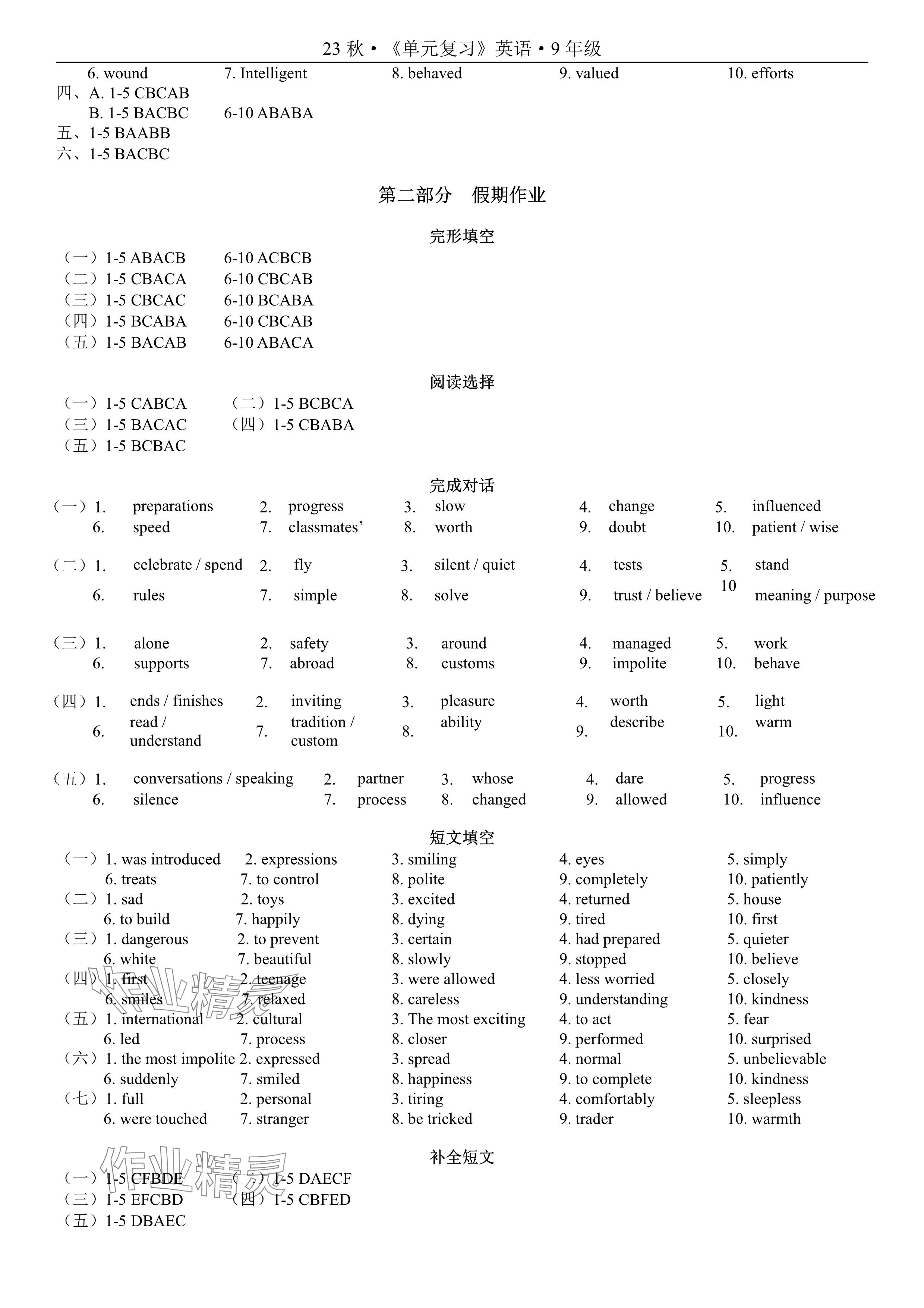 2024年新視界單元復(fù)習(xí)寒假作業(yè)九年級英語 參考答案第2頁