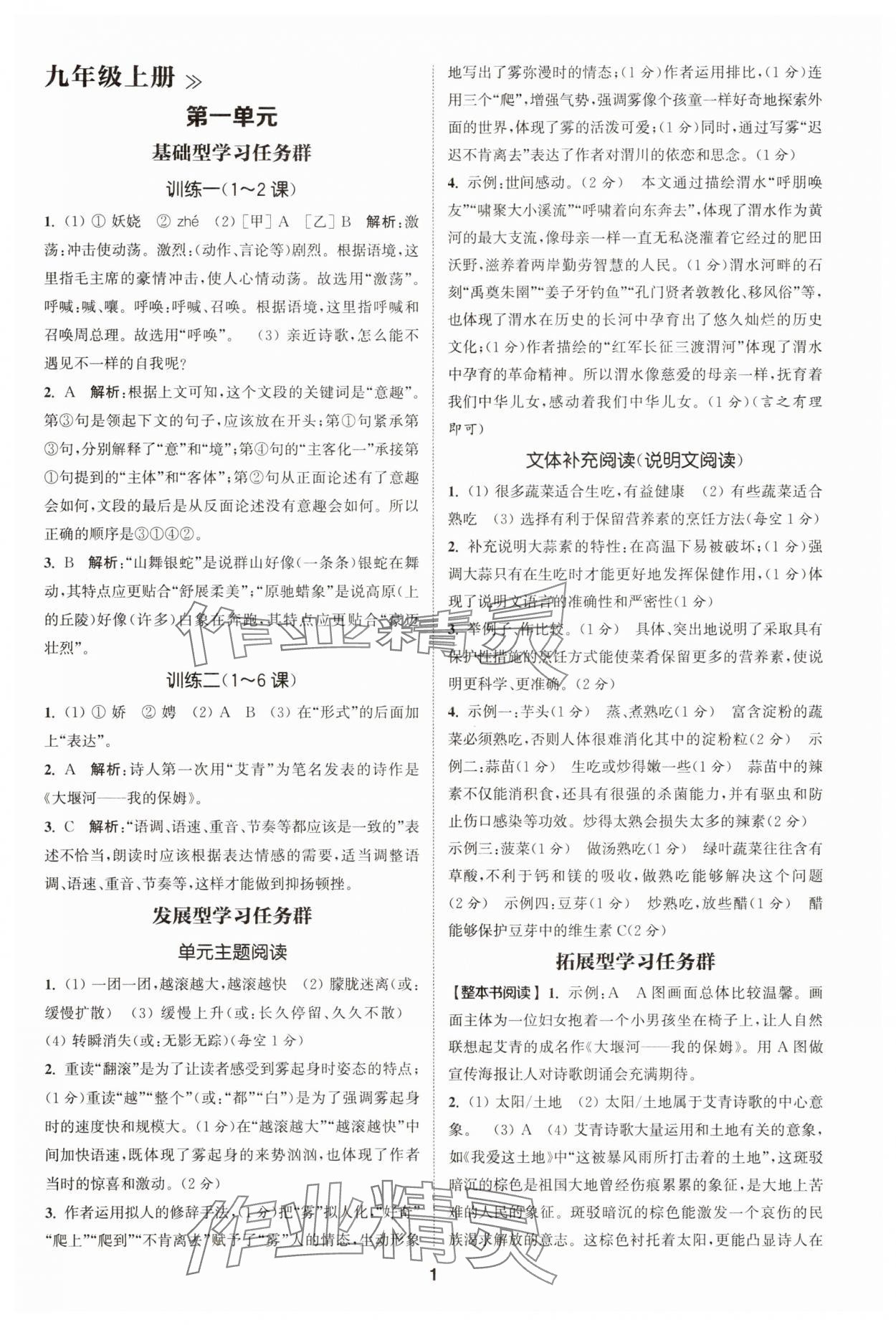 2025年拔尖特训九年级语文人教版 第1页