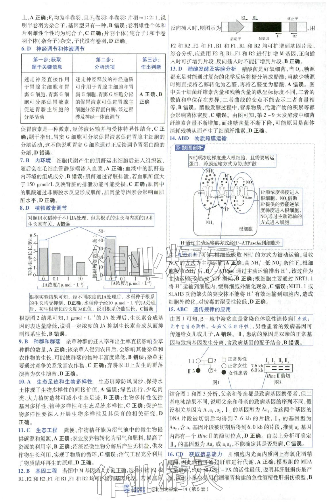 2026年金考卷优秀模拟试卷汇编45套高中生物河北专版 第14页