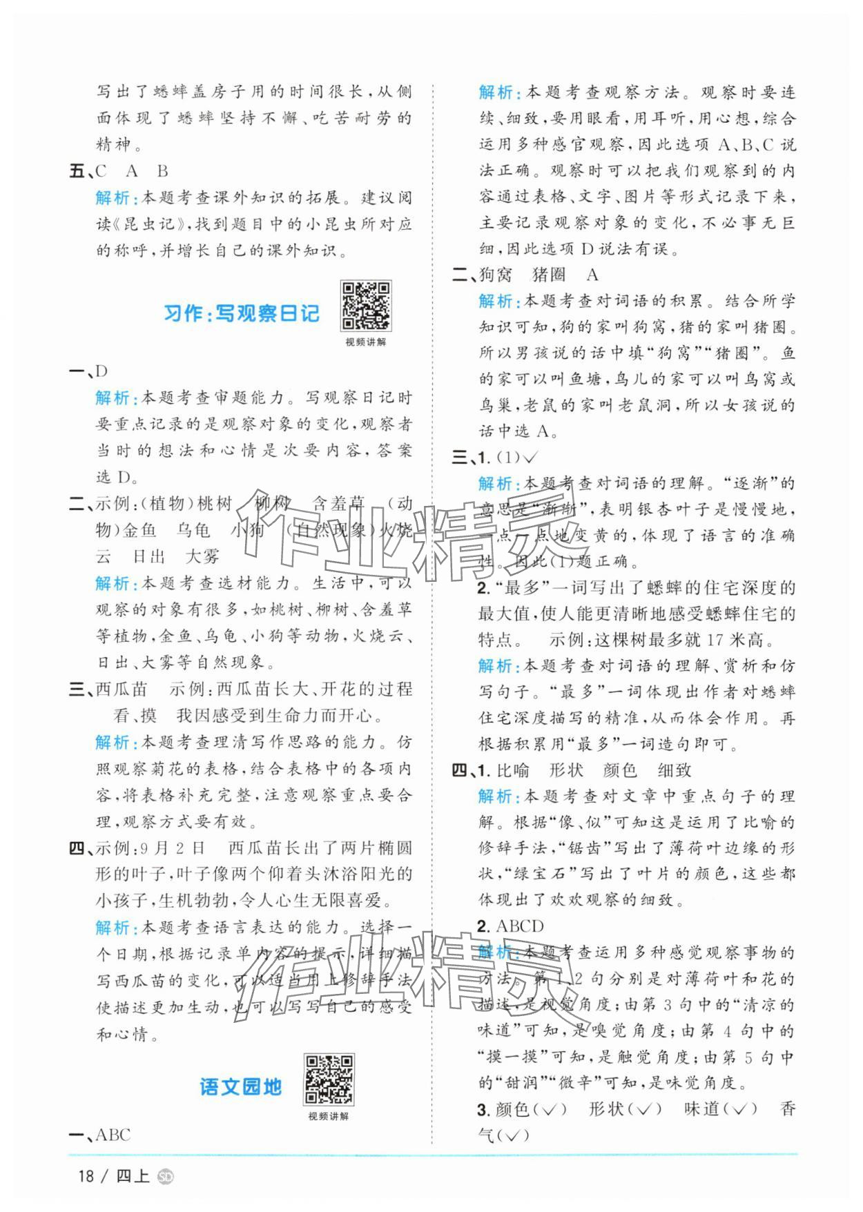 2025年陽光同學課時優(yōu)化作業(yè)四年級語文上冊人教版菏澤專版 第18頁