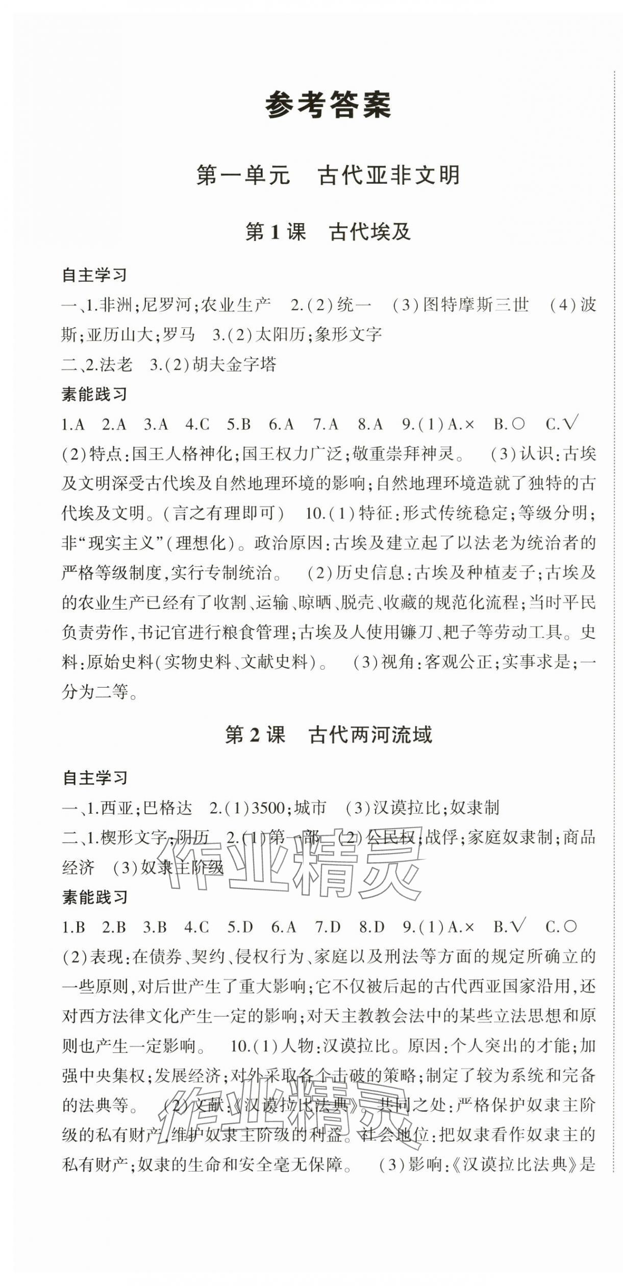 2024年巔峰對(duì)決九年級(jí)歷史上冊(cè)人教版 第1頁(yè)