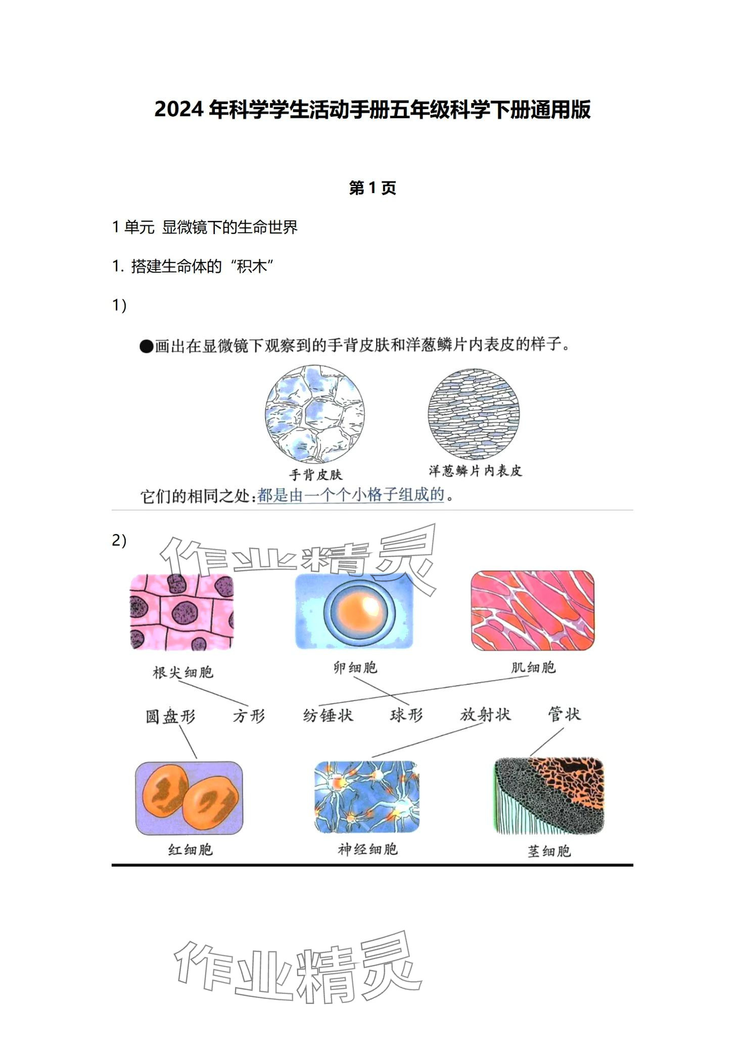 2024年學(xué)生活動(dòng)手冊(cè)江蘇鳳凰教育出版社五年級(jí)科學(xué)下冊(cè)通用版 第1頁(yè)