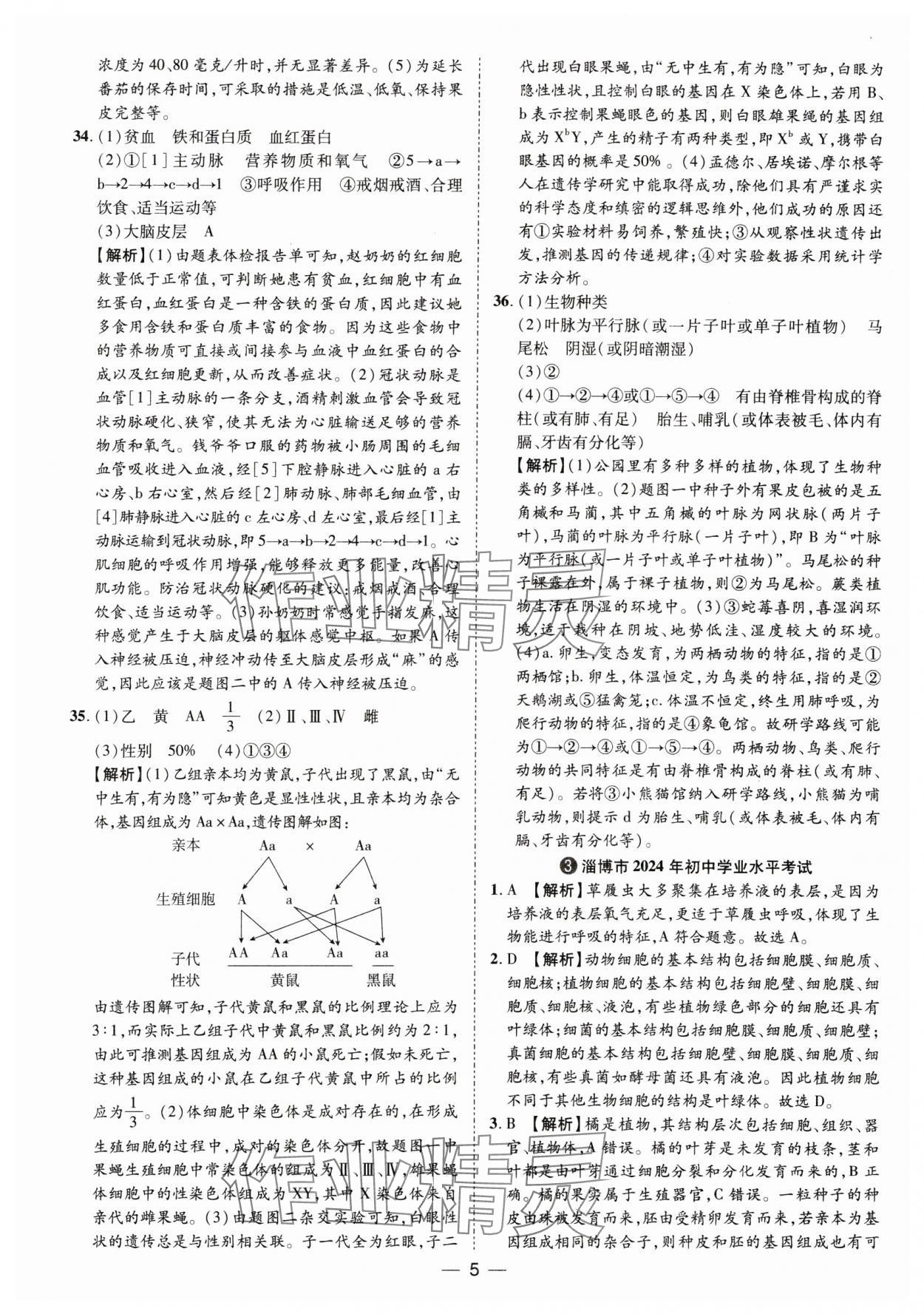 2025年鲁人泰斗中考必备中考试题汇编生物中考山东专版&nbsp;参考答案第5页