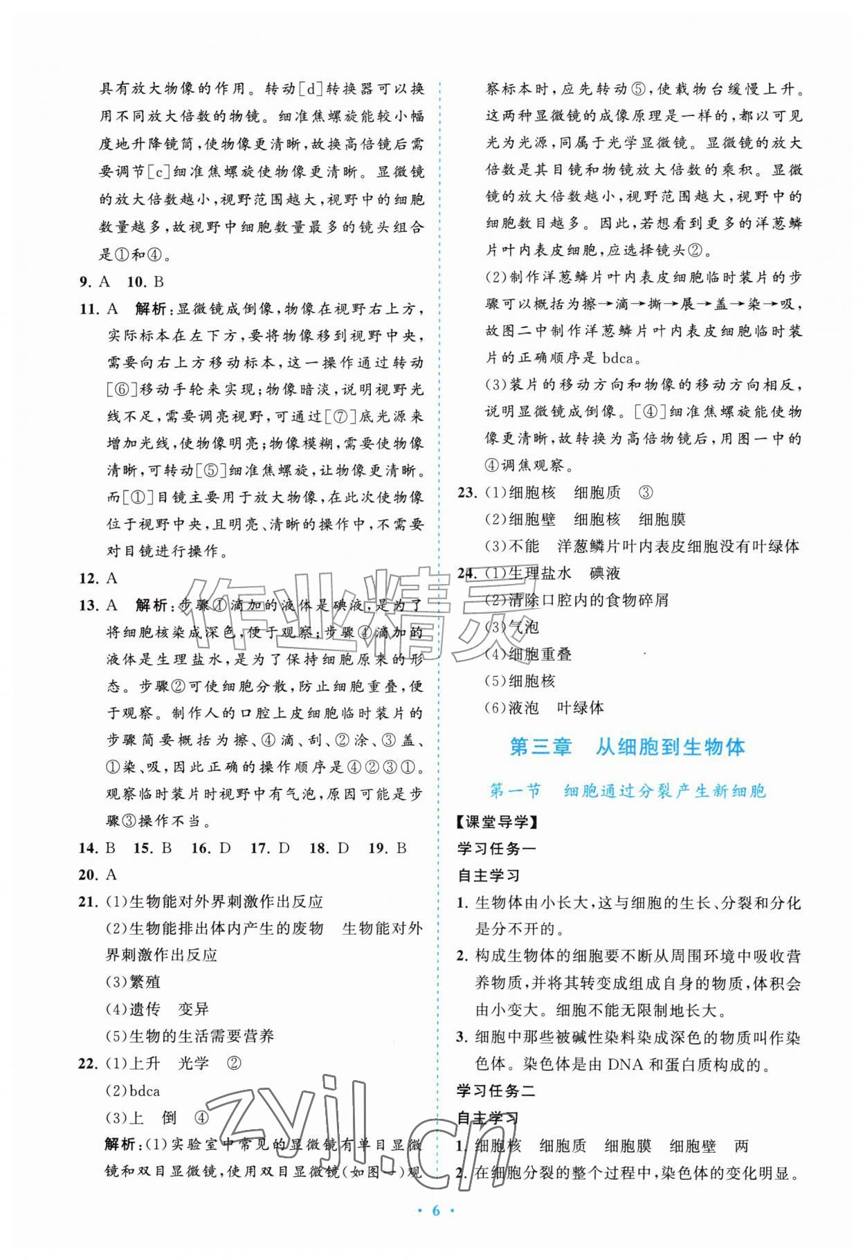 2026年配套综合练习甘肃七年级生物上册人教版&nbsp;第6页