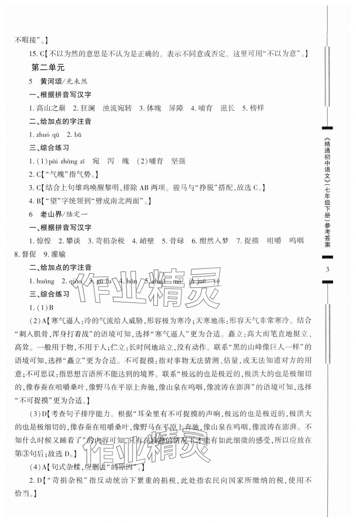 2024年精通中考語文七年級下冊 參考答案第3頁