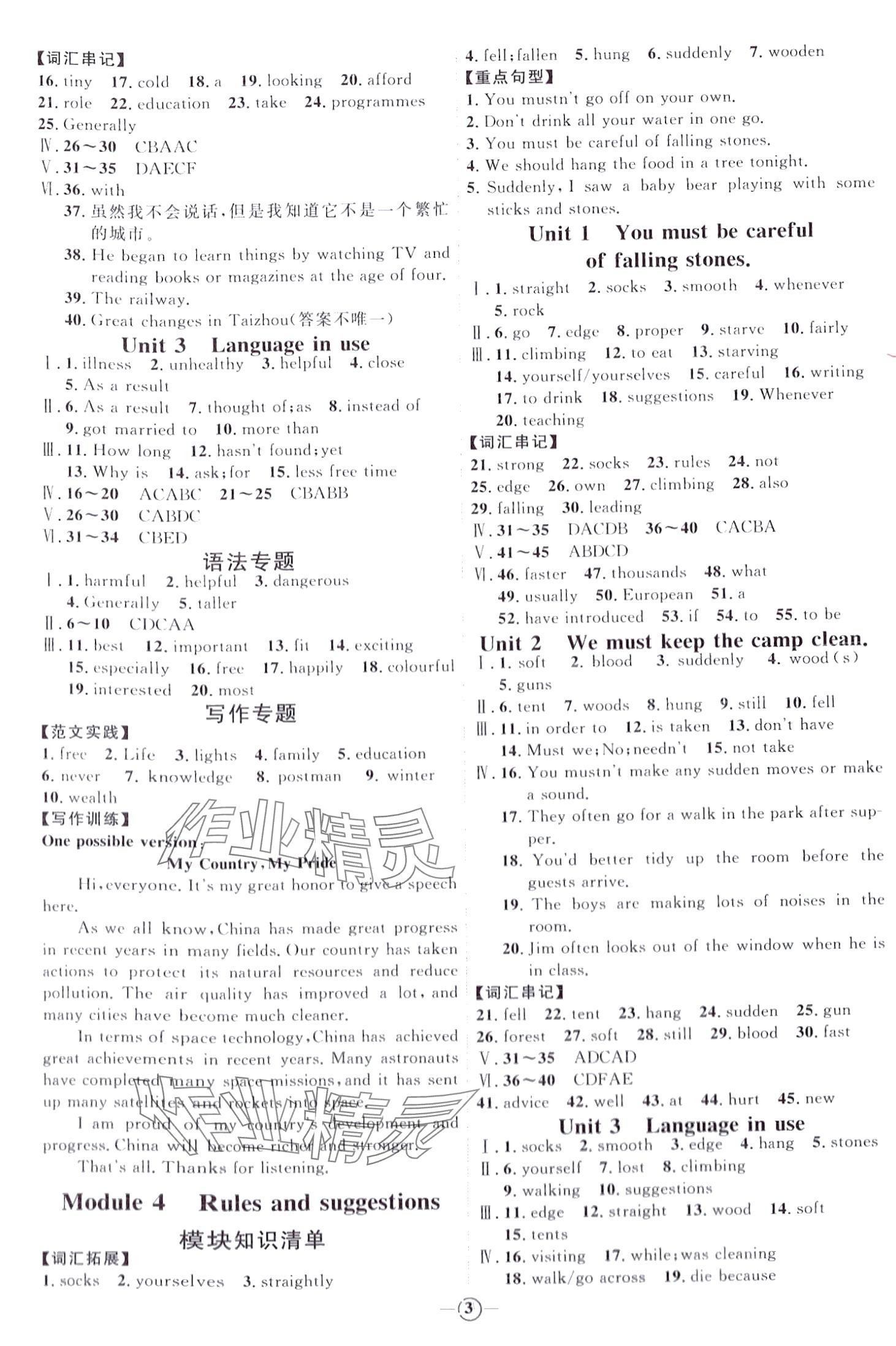 2024年優(yōu)加學(xué)案課時(shí)通九年級(jí)英語下冊(cè)外研版 第3頁