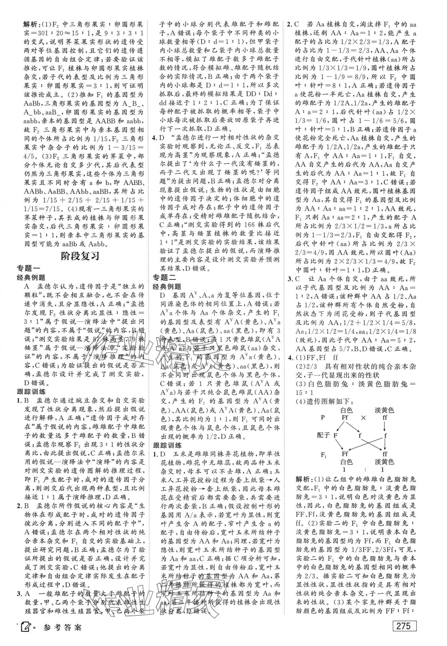 2024年紅對勾講與練高中生物必修2人教版 第5頁