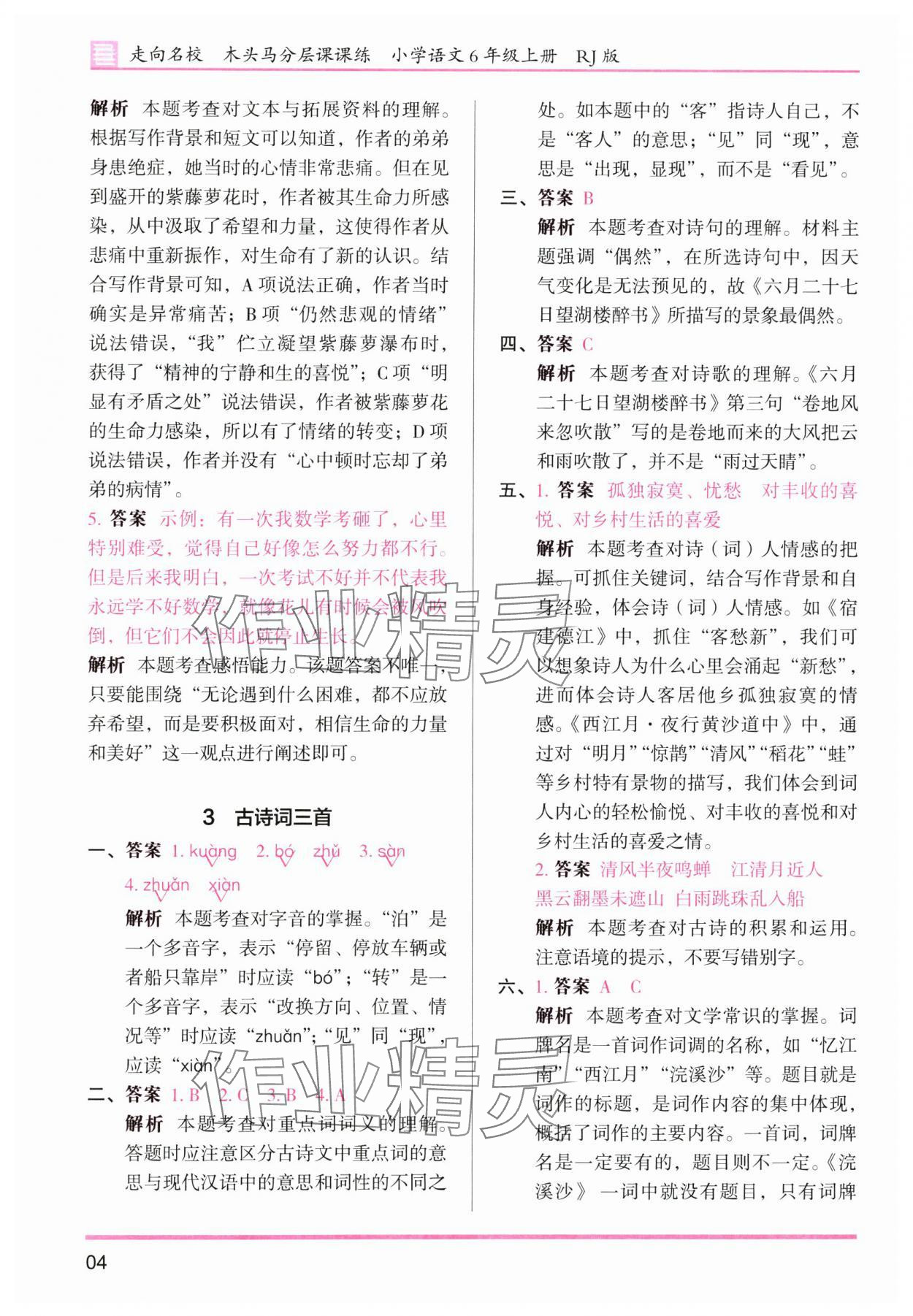 2025年木頭馬分層課課練六年級(jí)語(yǔ)文上冊(cè)人教版浙江專(zhuān)版 第4頁(yè)