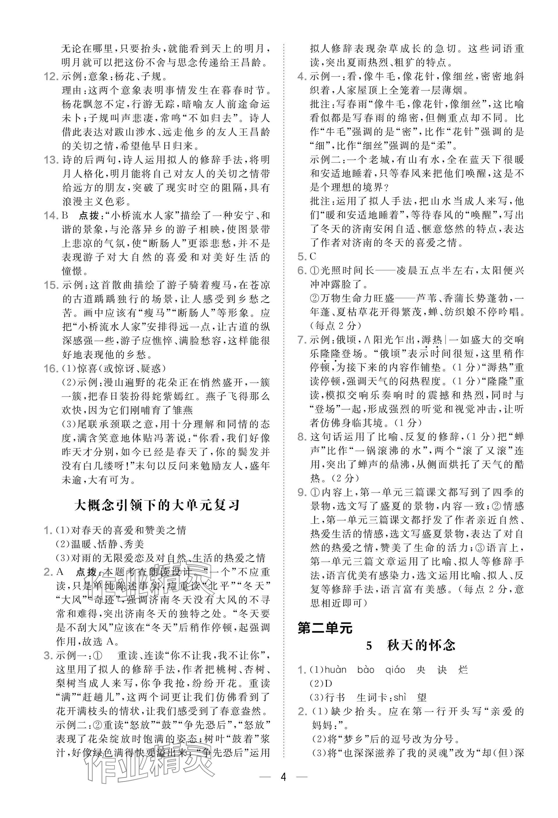 2025年点拨训练七年级语文上册人教版安徽专版 参考答案第4页