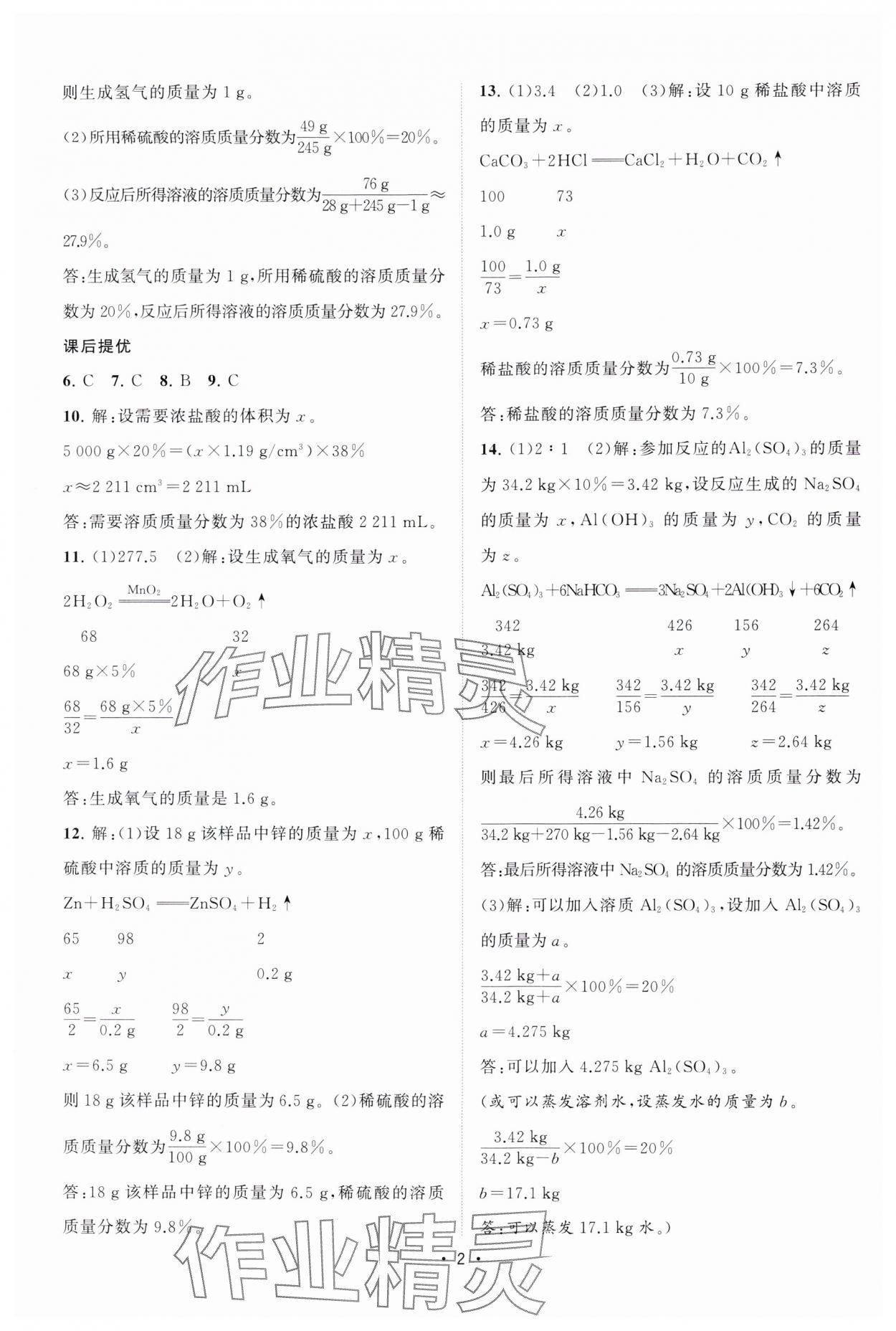 2025年课时提优计划作业本九年级化学下册沪教版 参考答案第2页