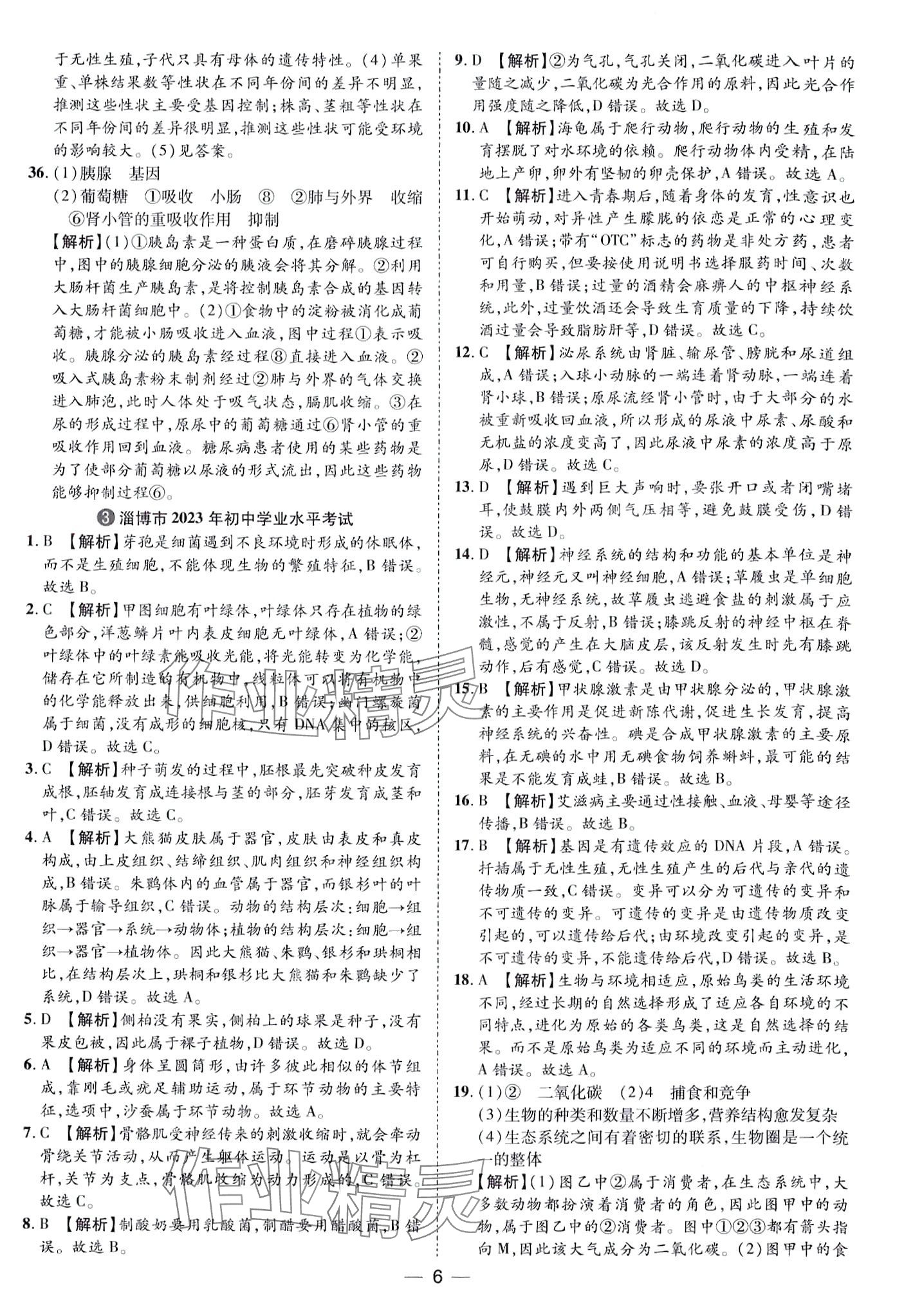 2024年鲁人泰斗中考必备中考试题汇编生物中考&nbsp;第6页