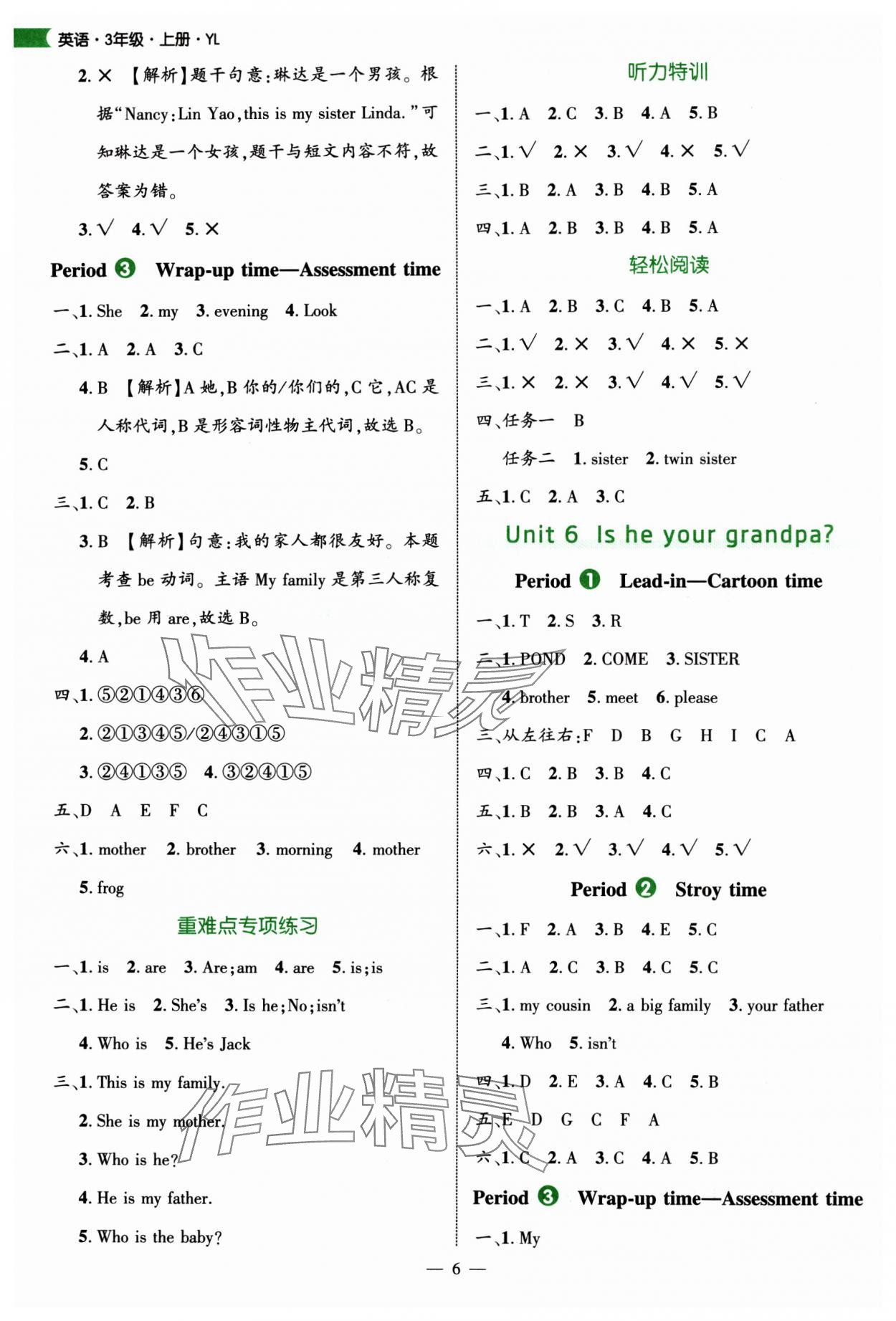 2025年细解巧练三年级英语上册译林版 第6页