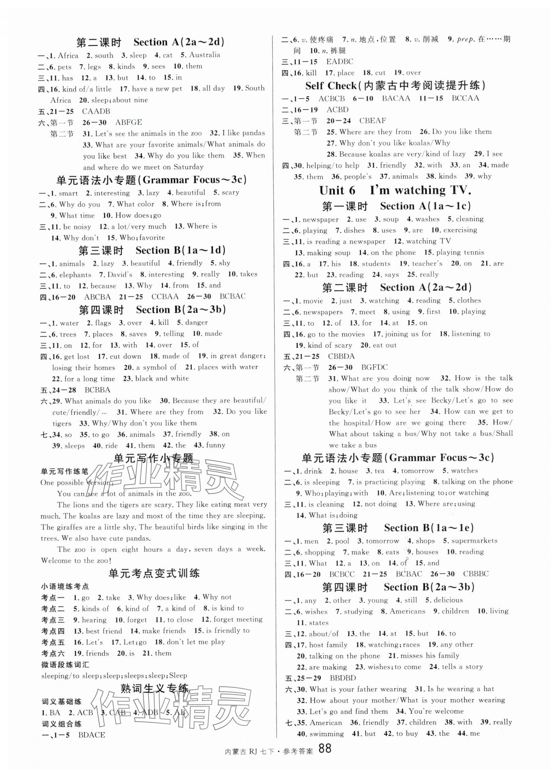 2024年名校课堂七年级英语下册人教版内蒙古专版 第4页