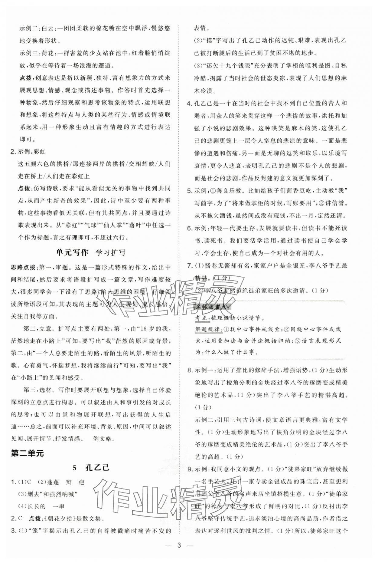 2025年點(diǎn)撥訓(xùn)練九年級(jí)語文下冊(cè)人教版 第3頁